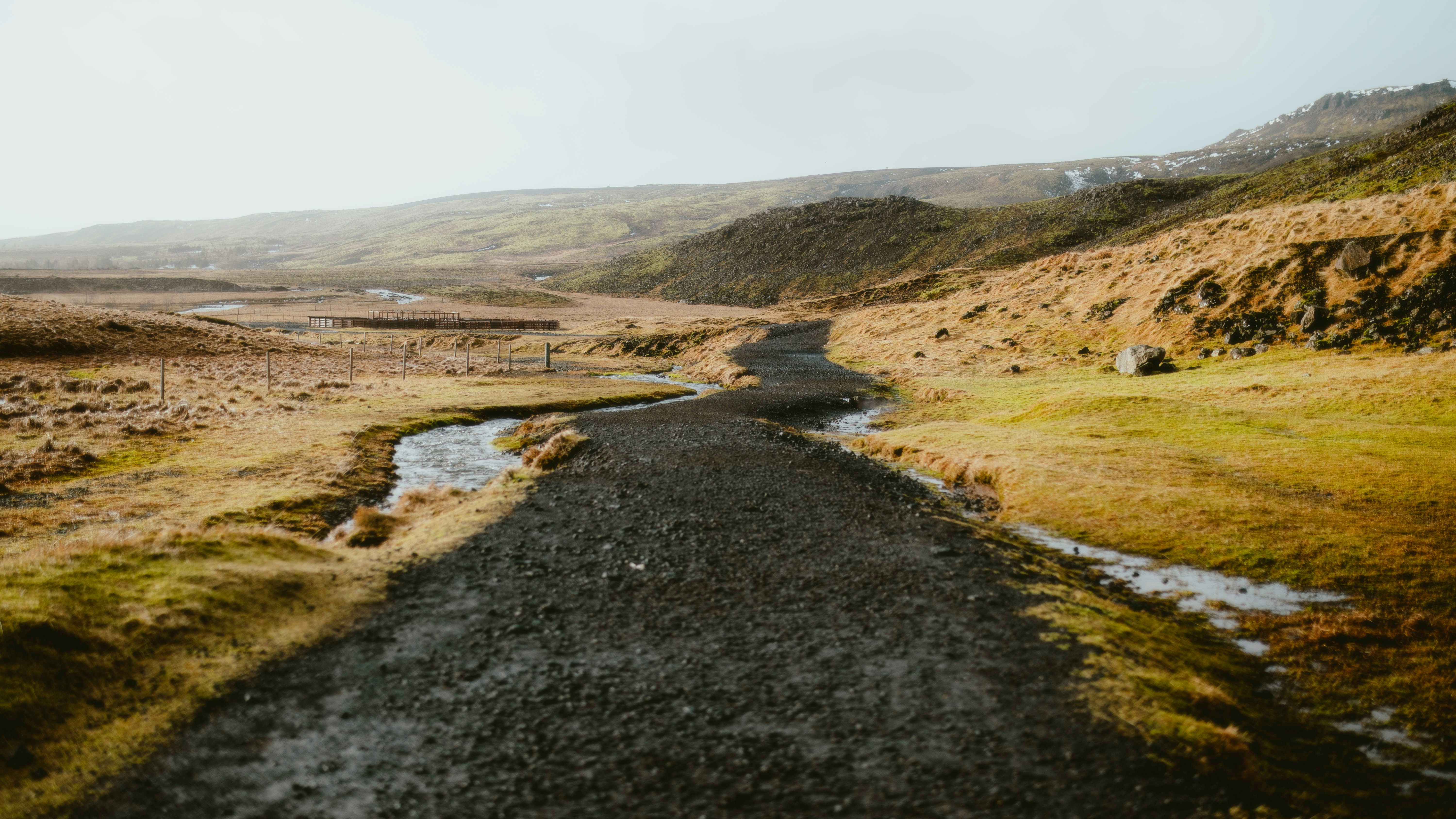 Photo by alingavriliuc