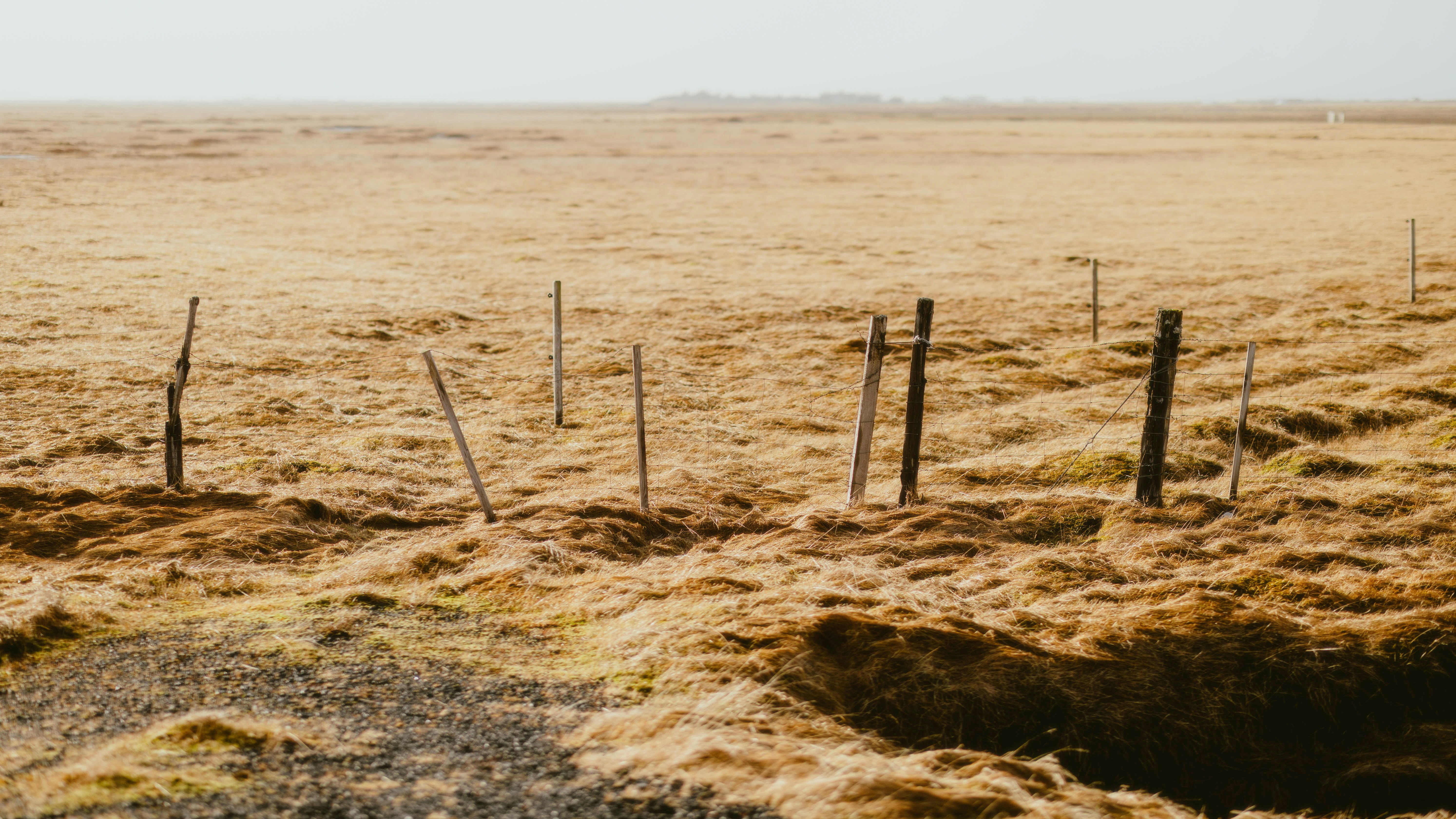 Photo by alingavriliuc