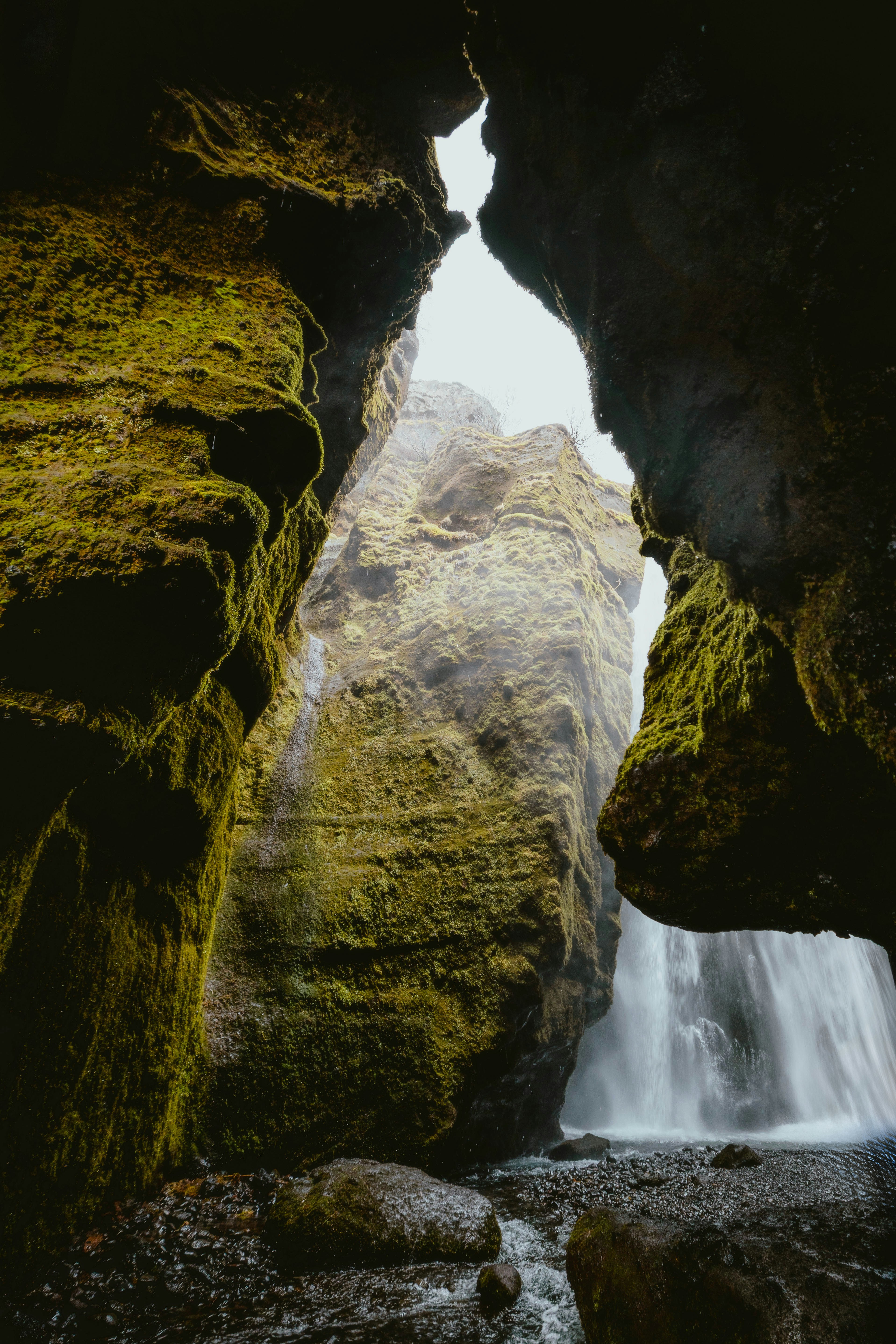 Photo by alingavriliuc