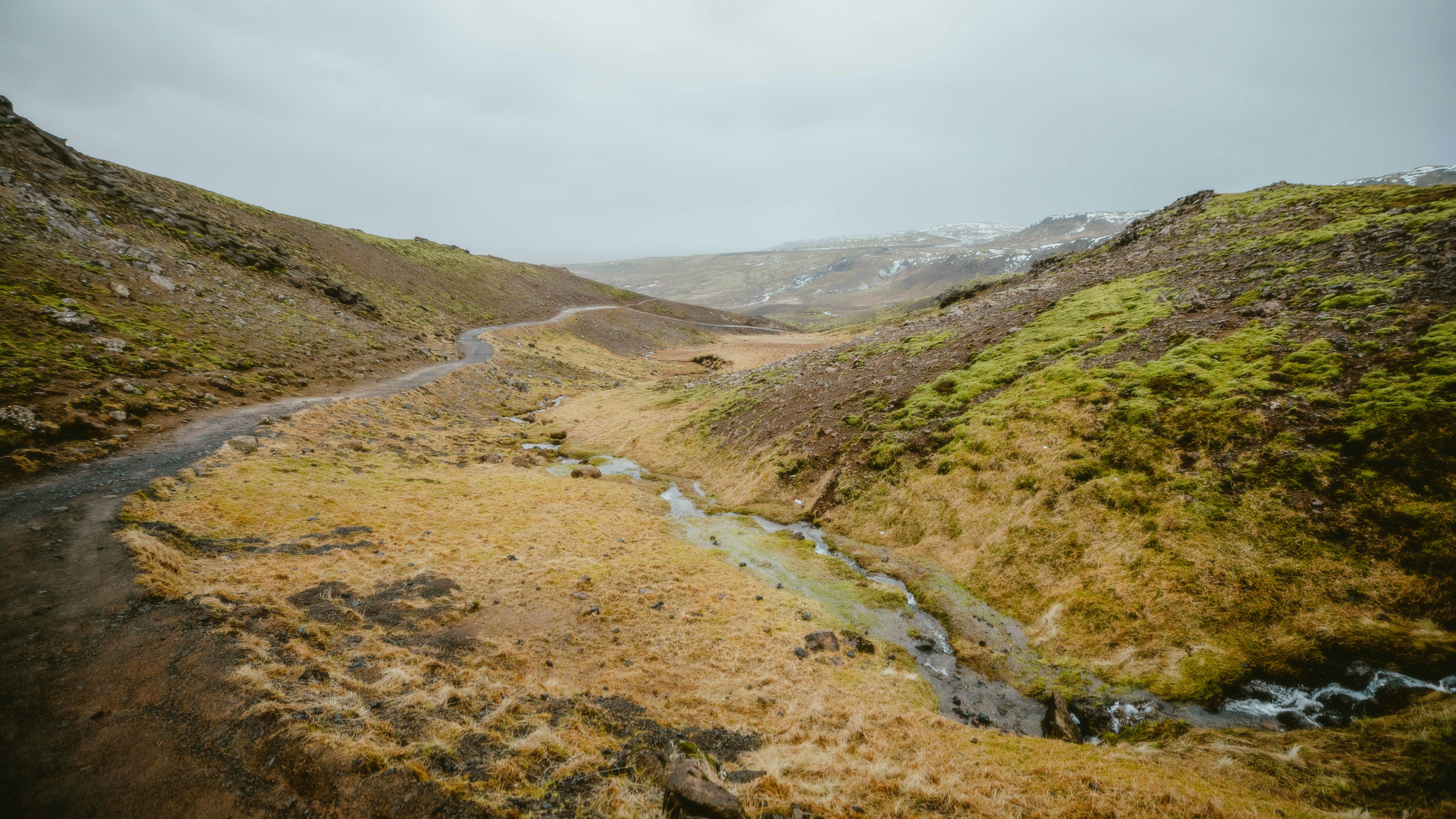 Photo by alingavriliuc