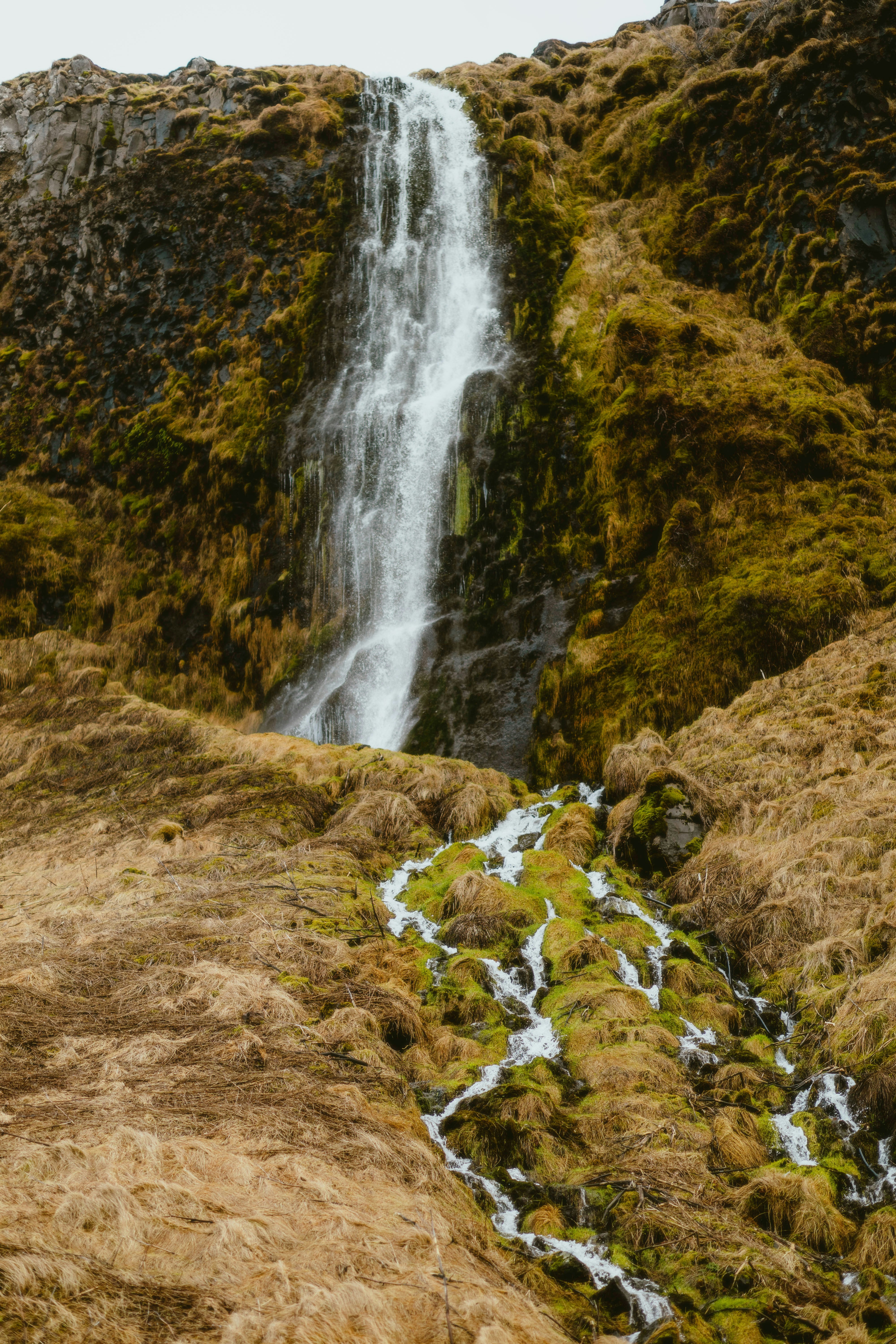 Photo by alingavriliuc