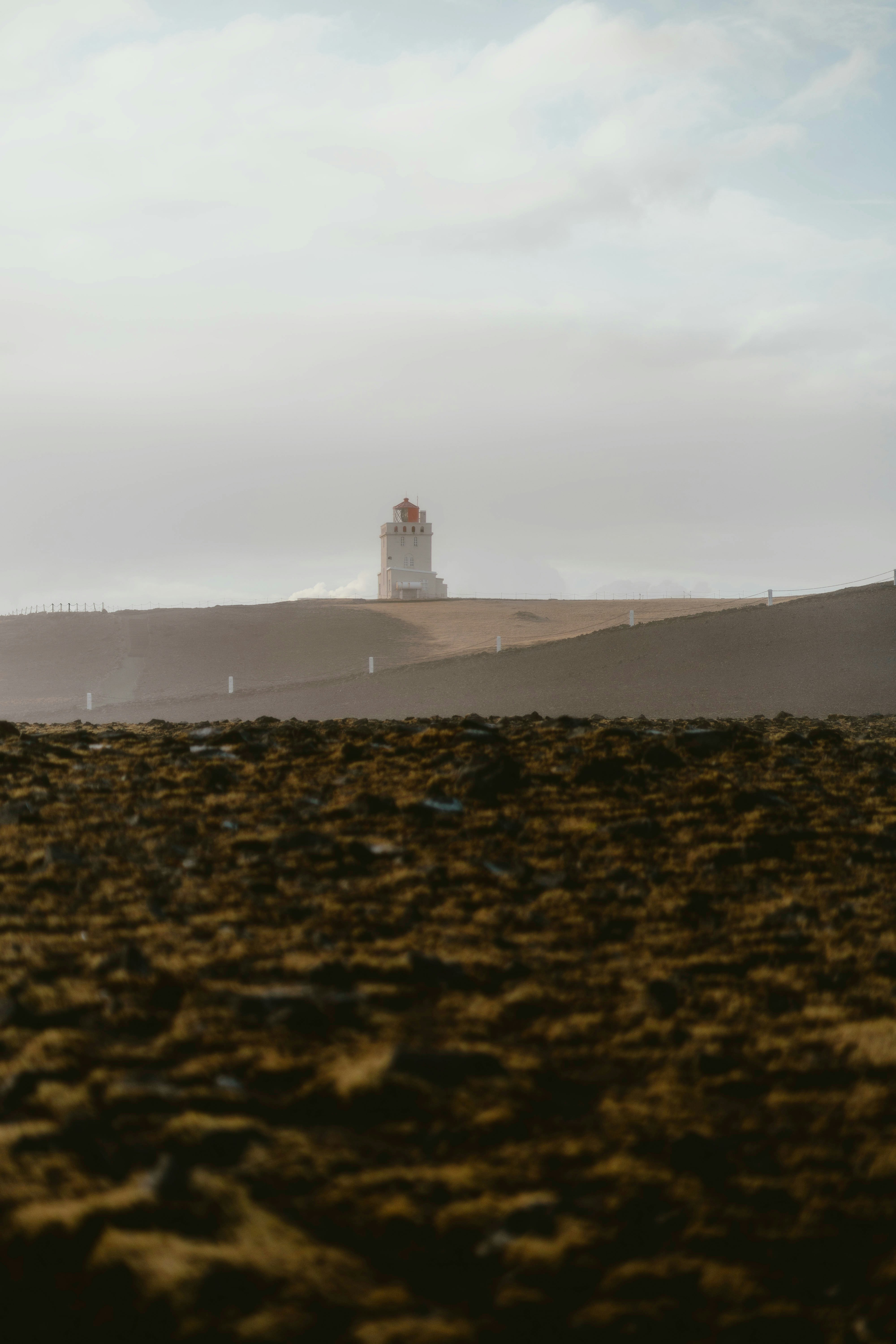 Photo by alingavriliuc