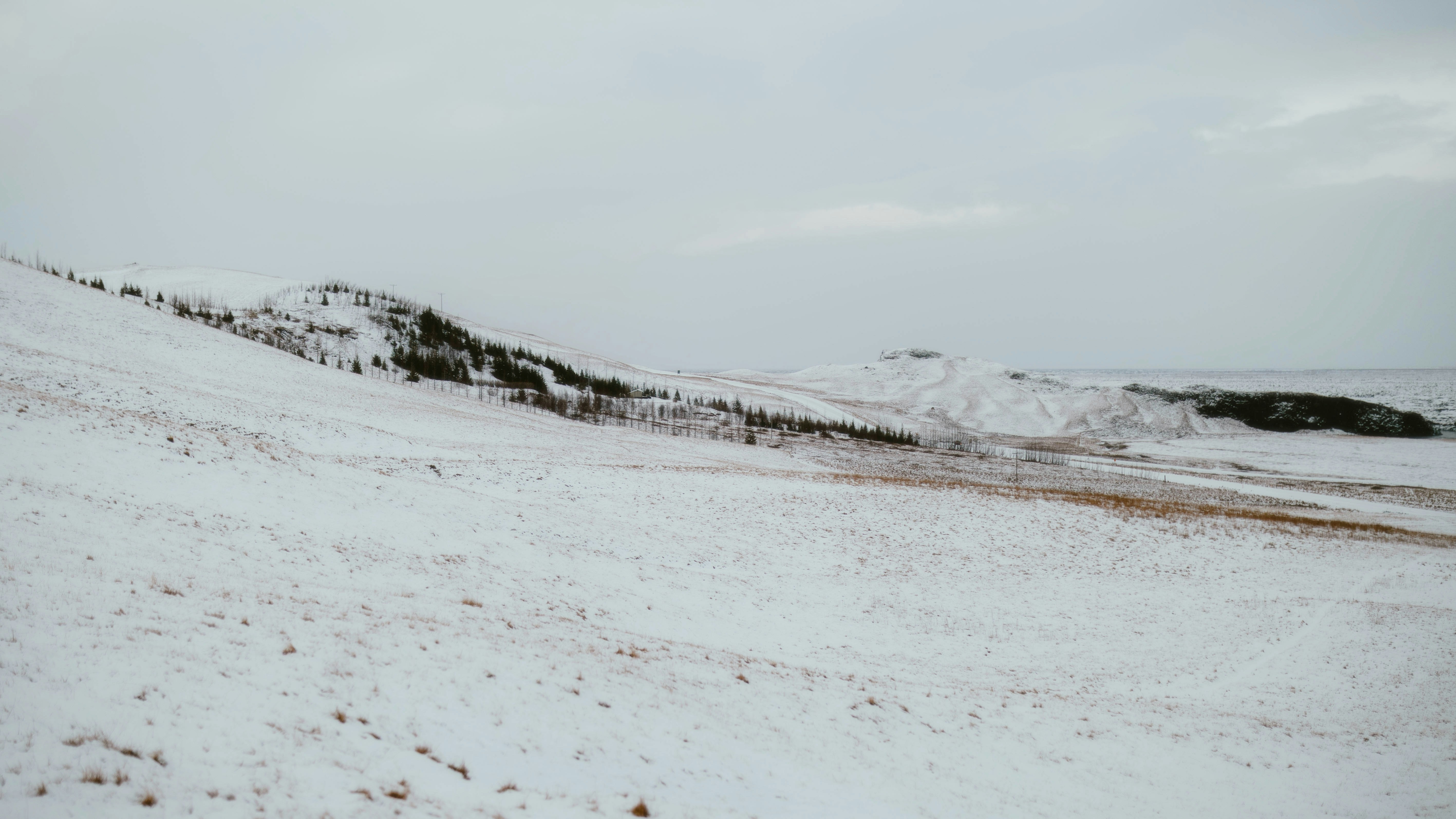 Photo by alingavriliuc