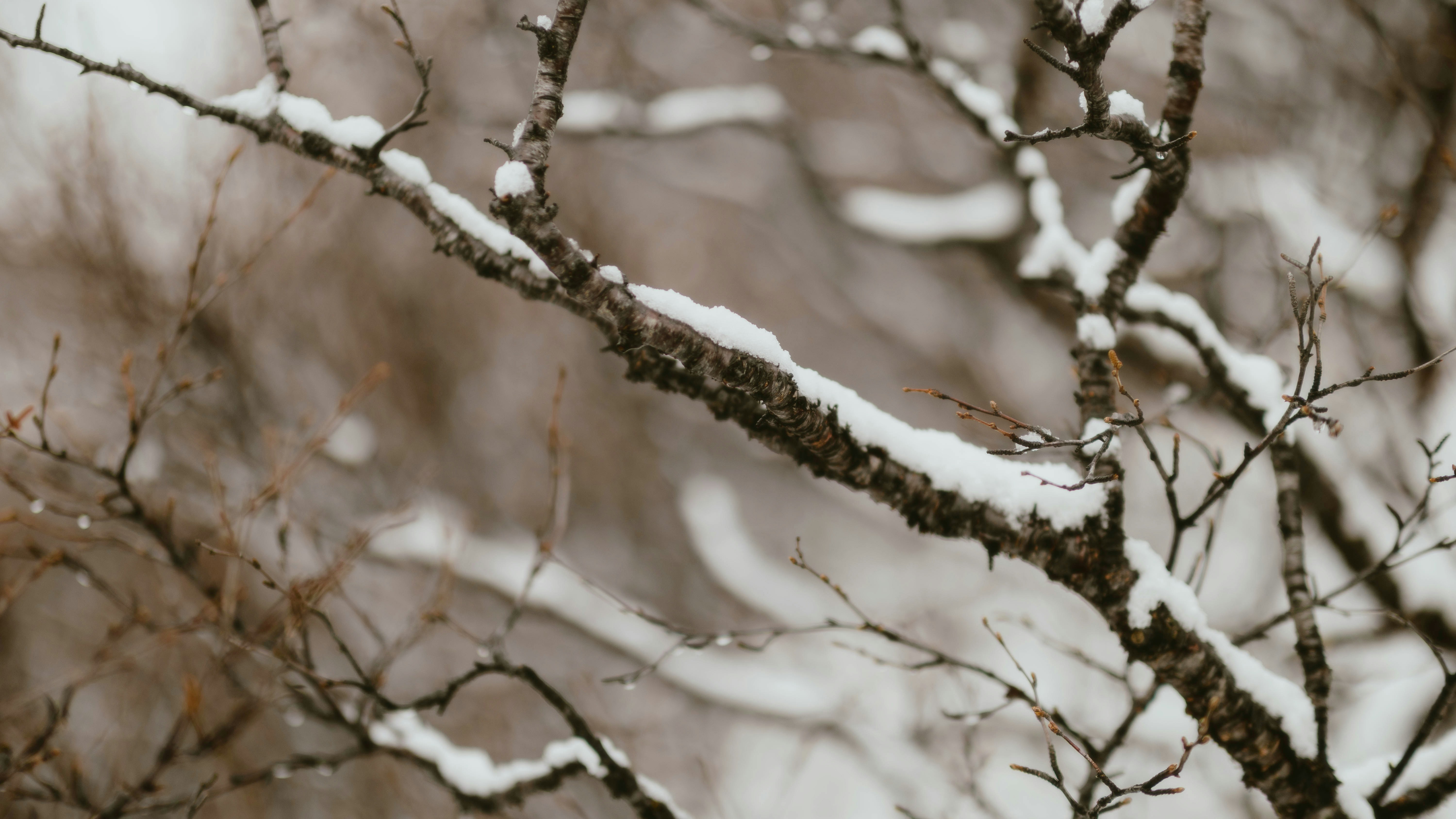 Photo by alingavriliuc