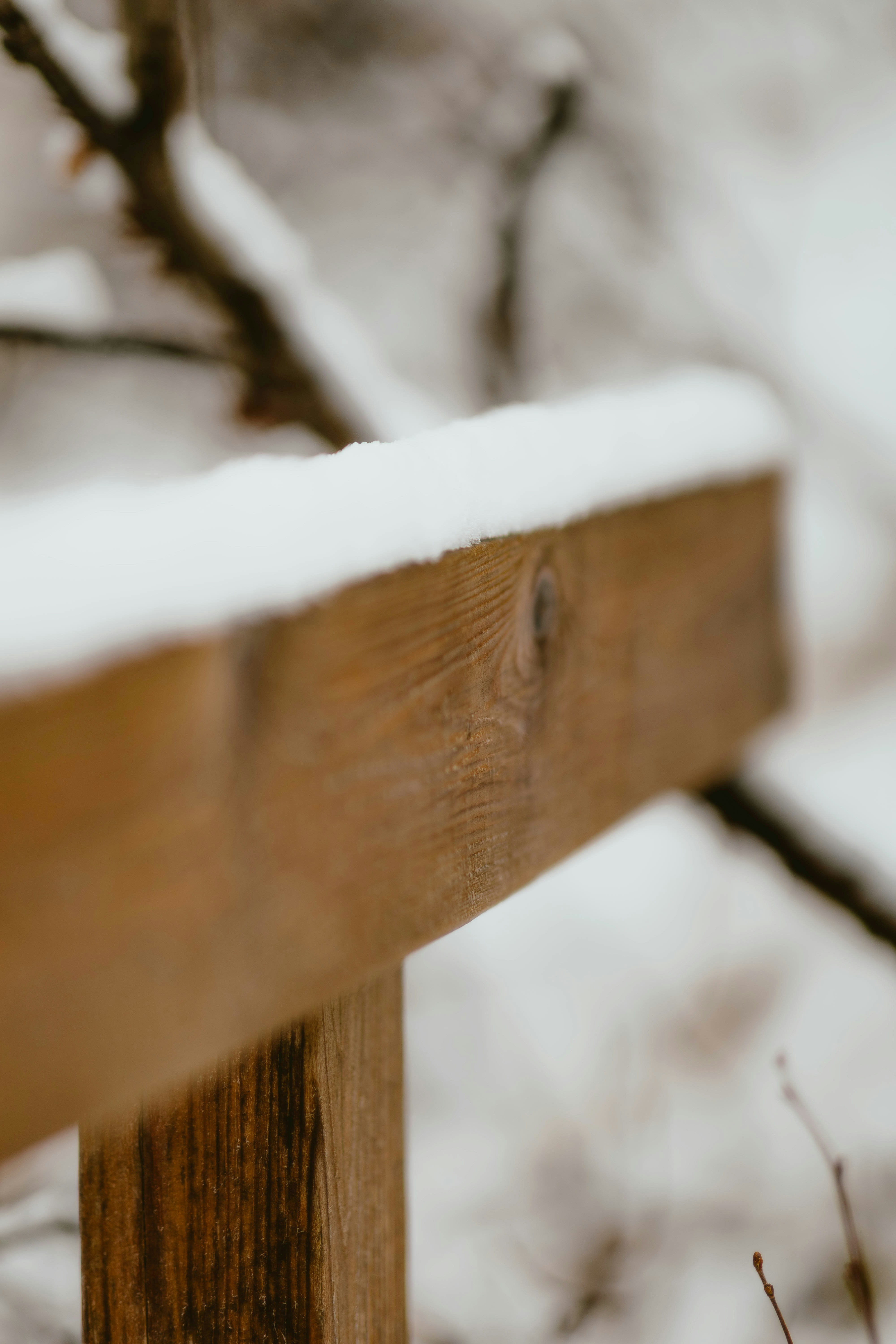 Photo by alingavriliuc