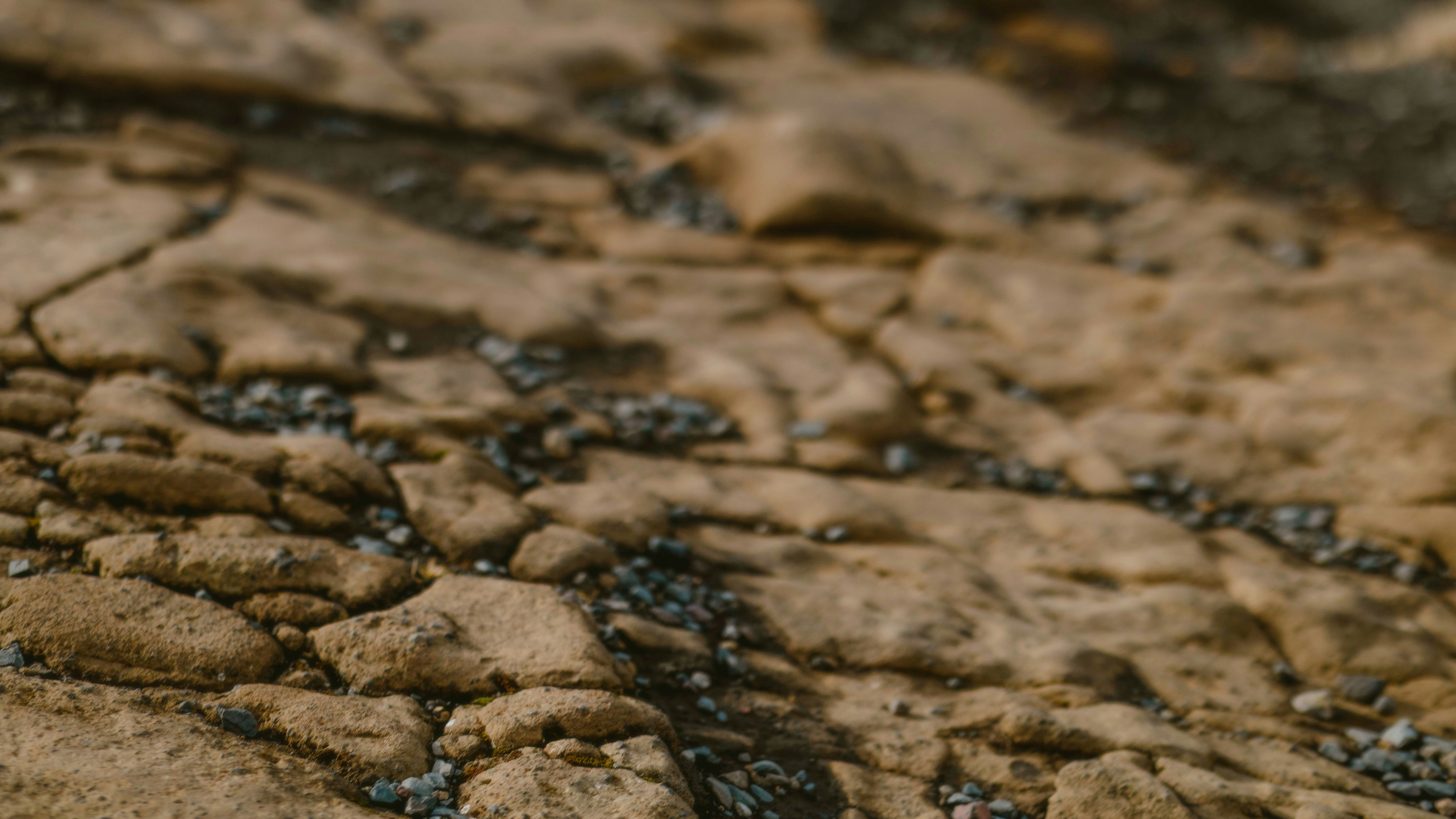 Photo by alingavriliuc