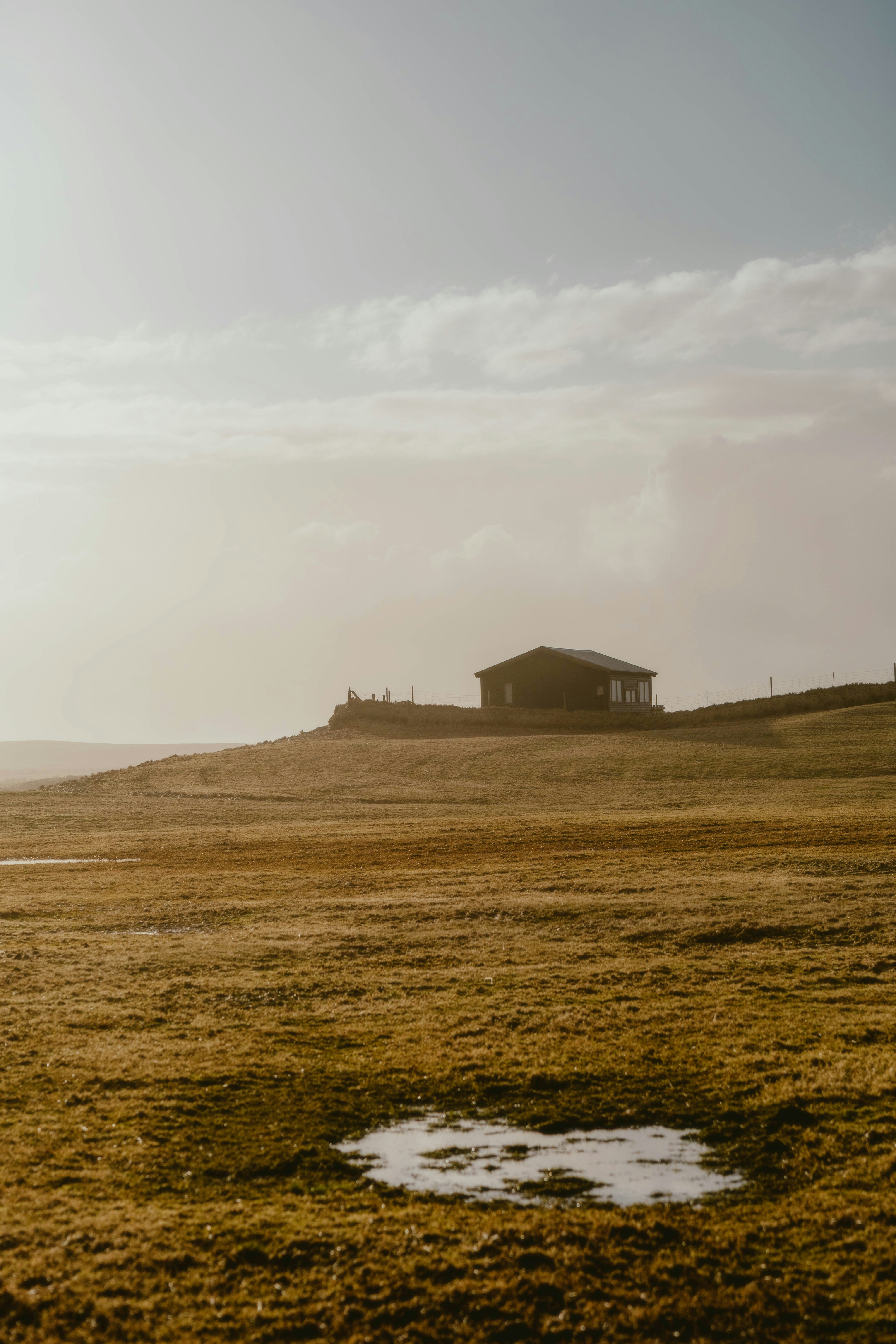 Photo by alingavriliuc