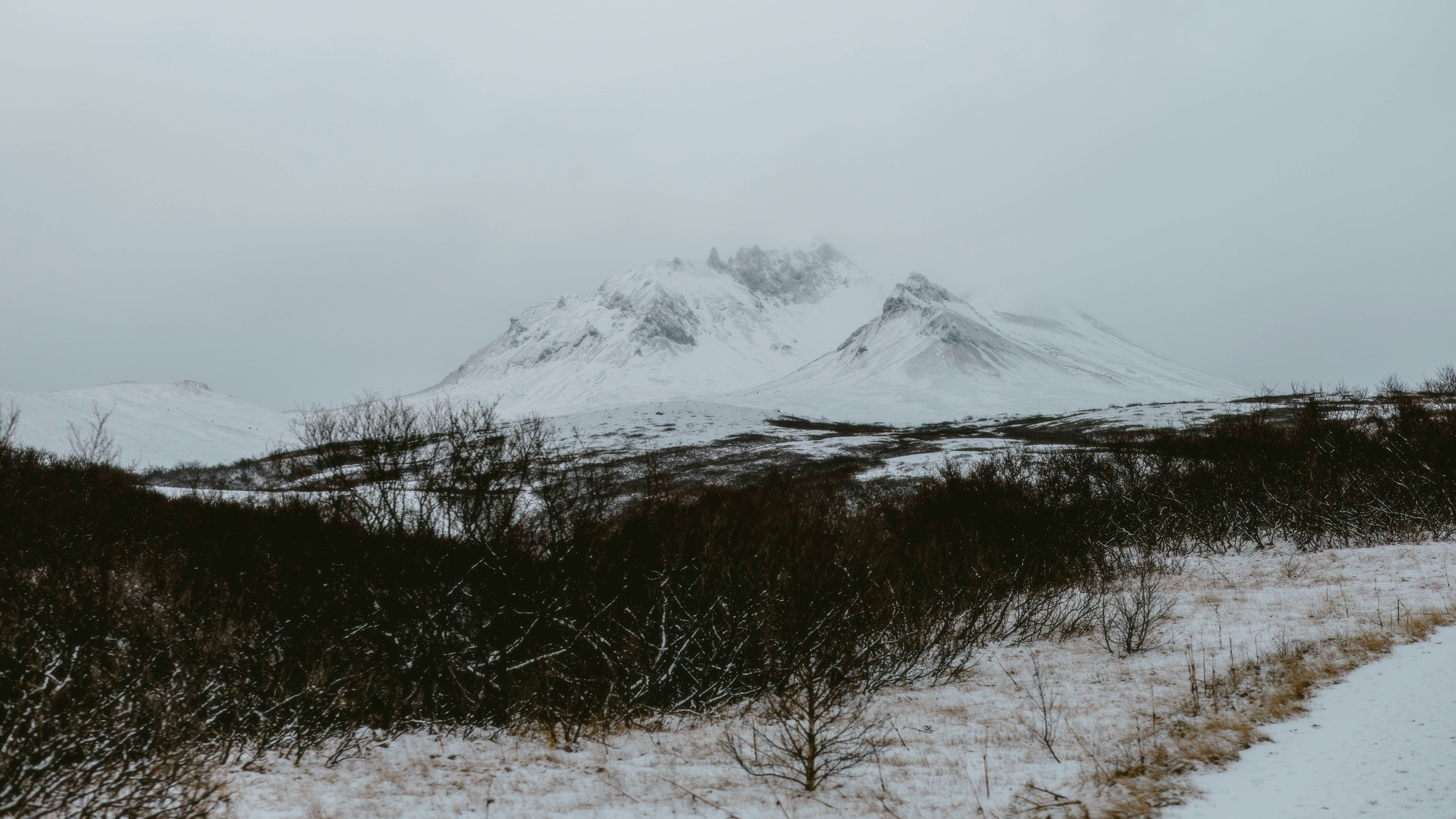 Photo by alingavriliuc