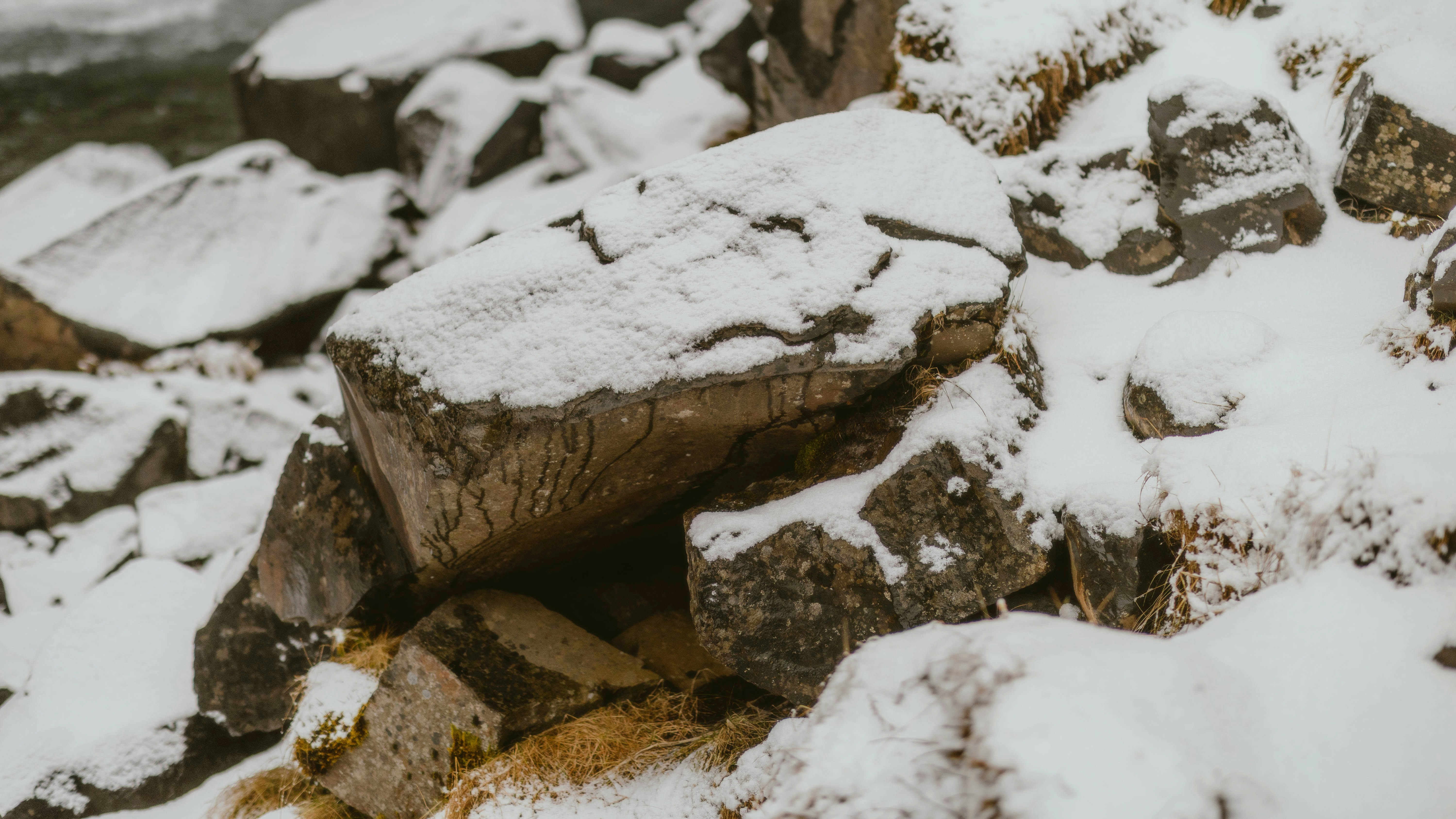 Photo by alingavriliuc