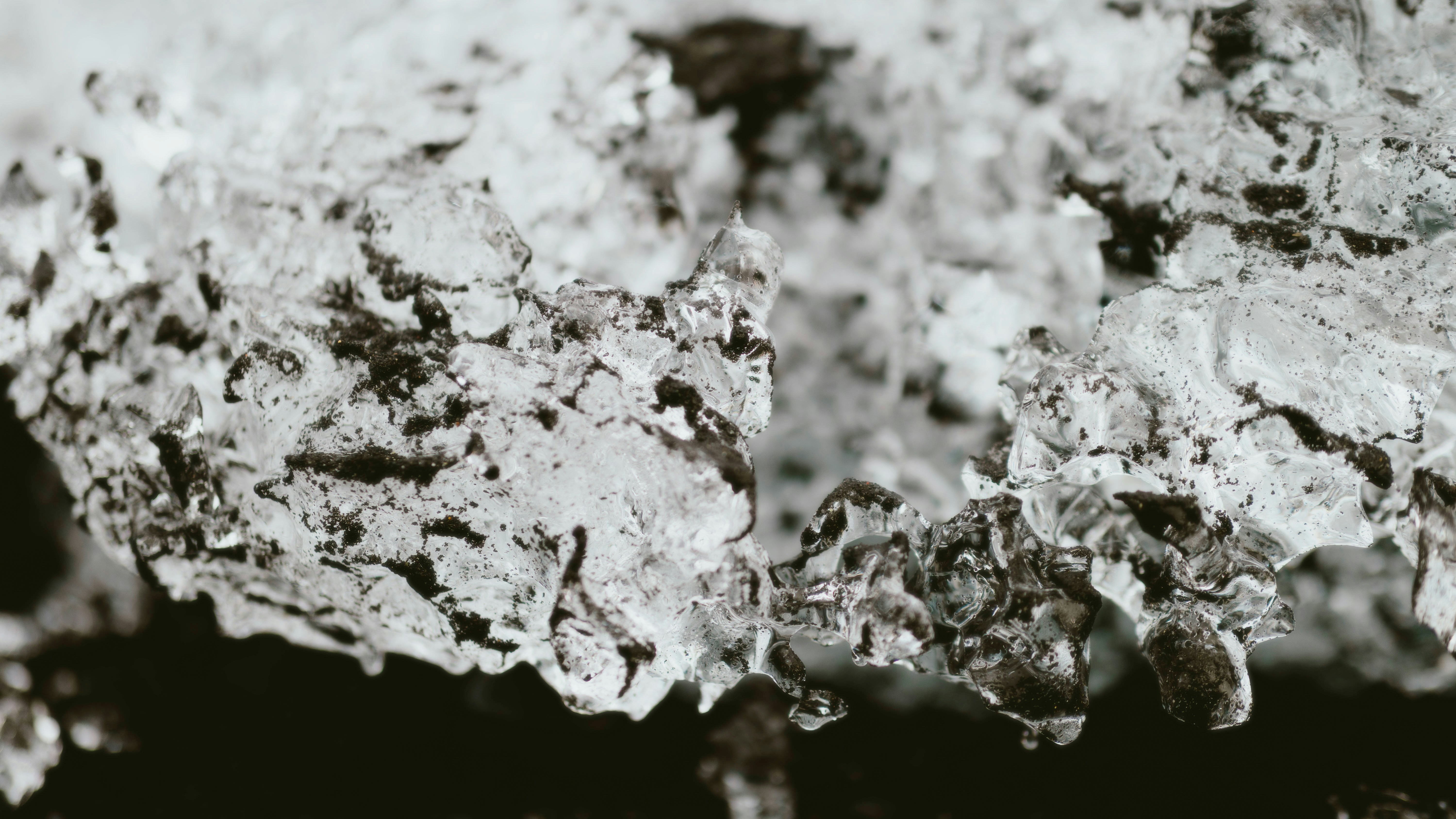 Photo by alingavriliuc