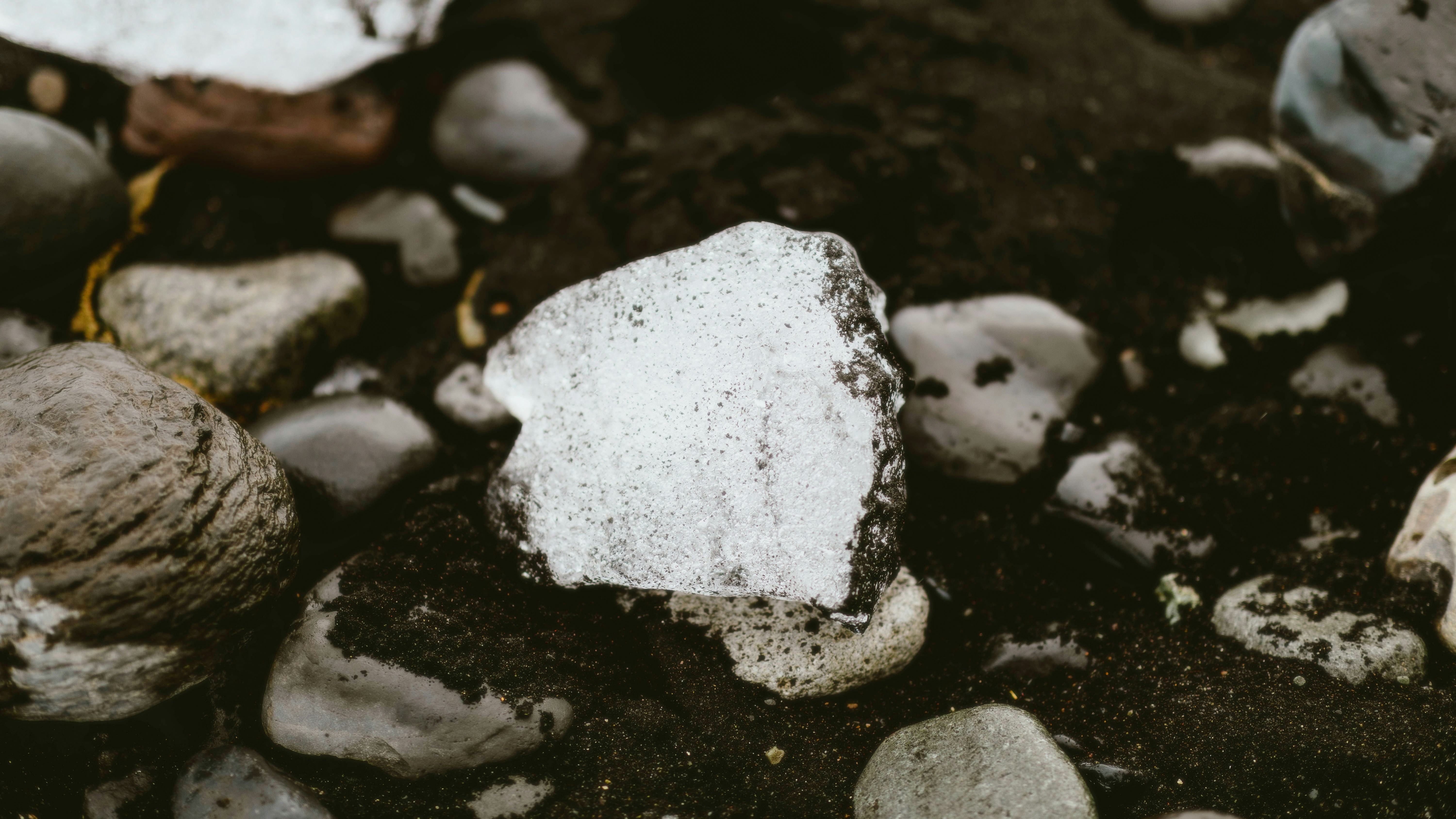 Photo by alingavriliuc