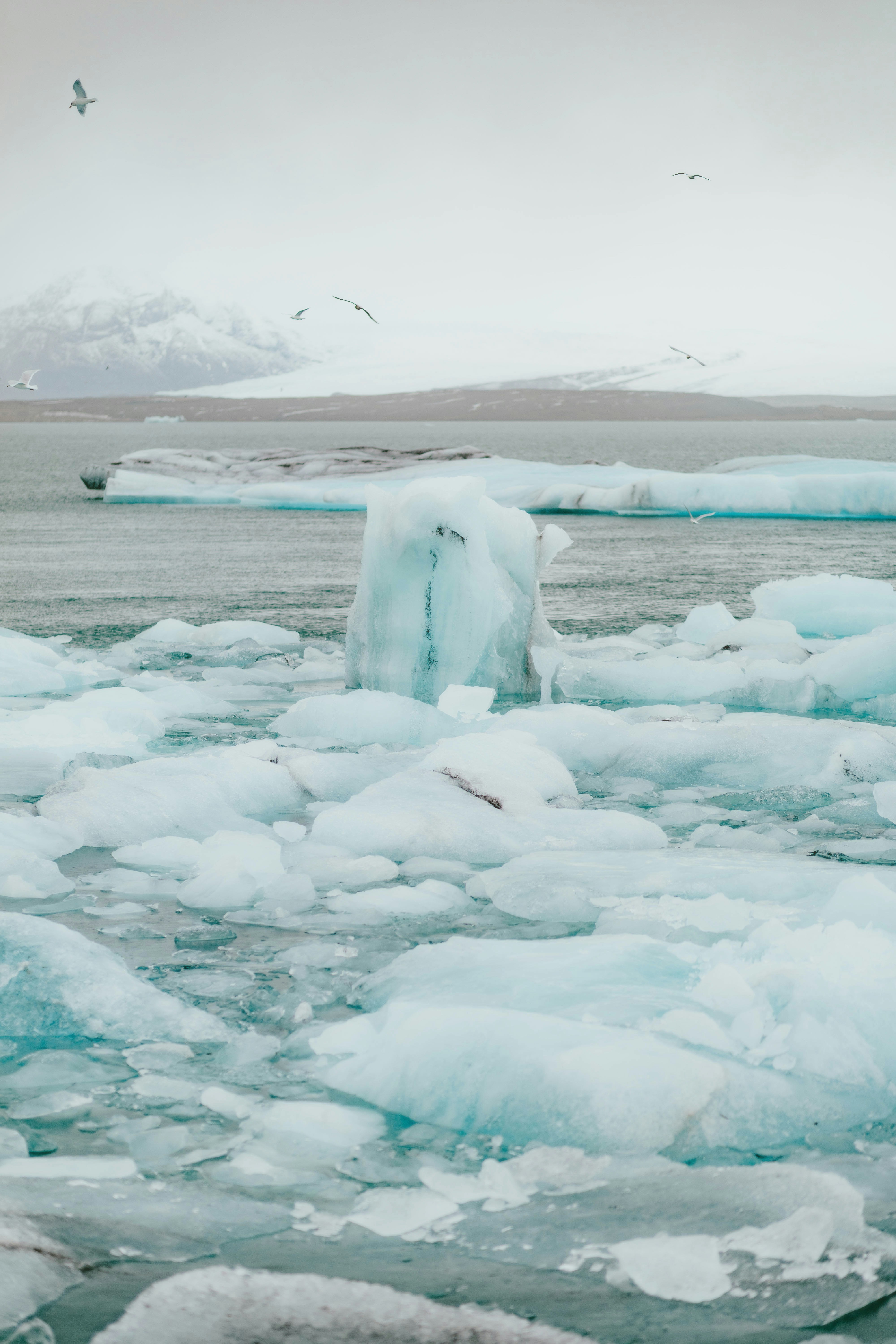 Photo by alingavriliuc