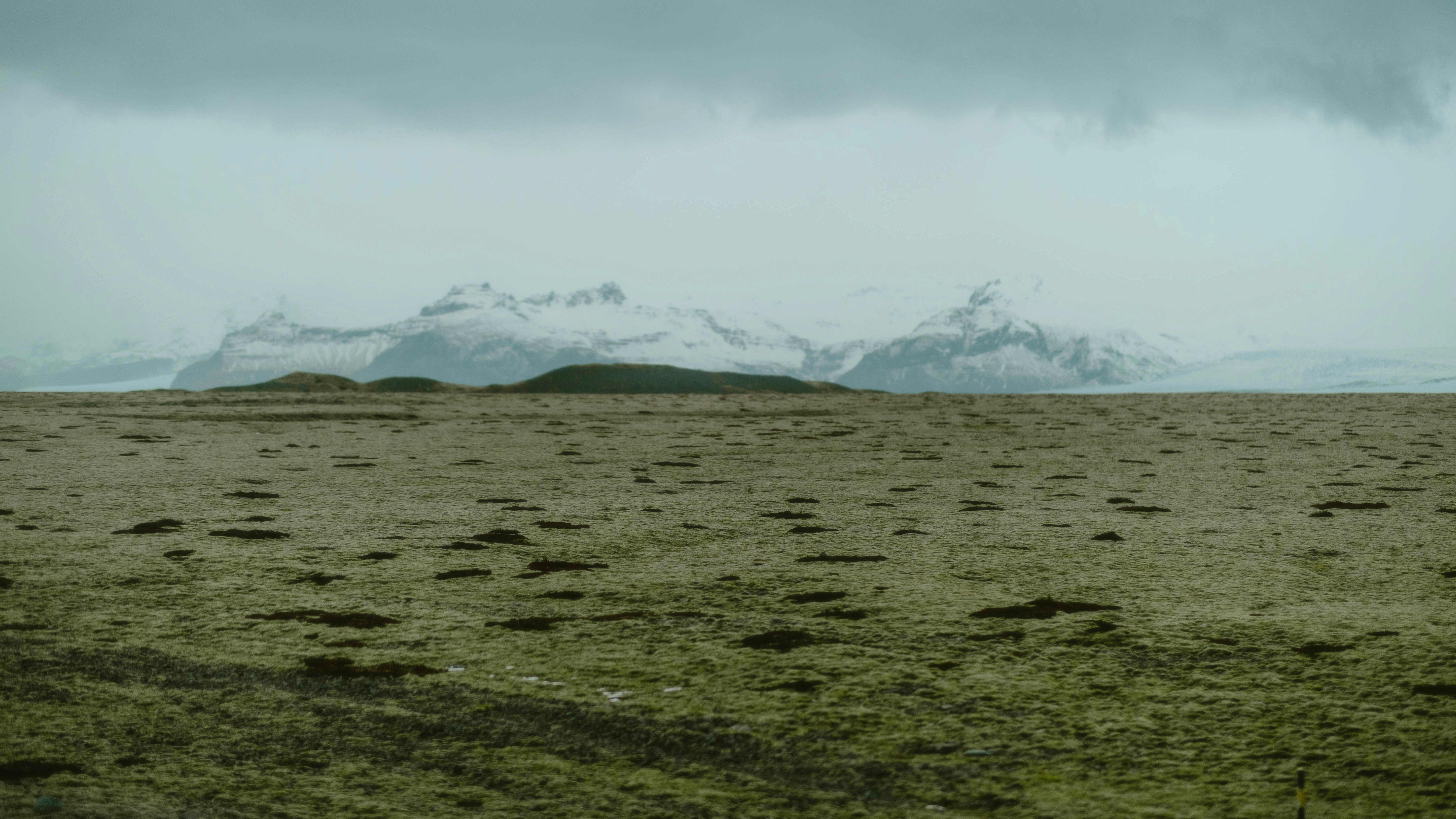 Photo by alingavriliuc