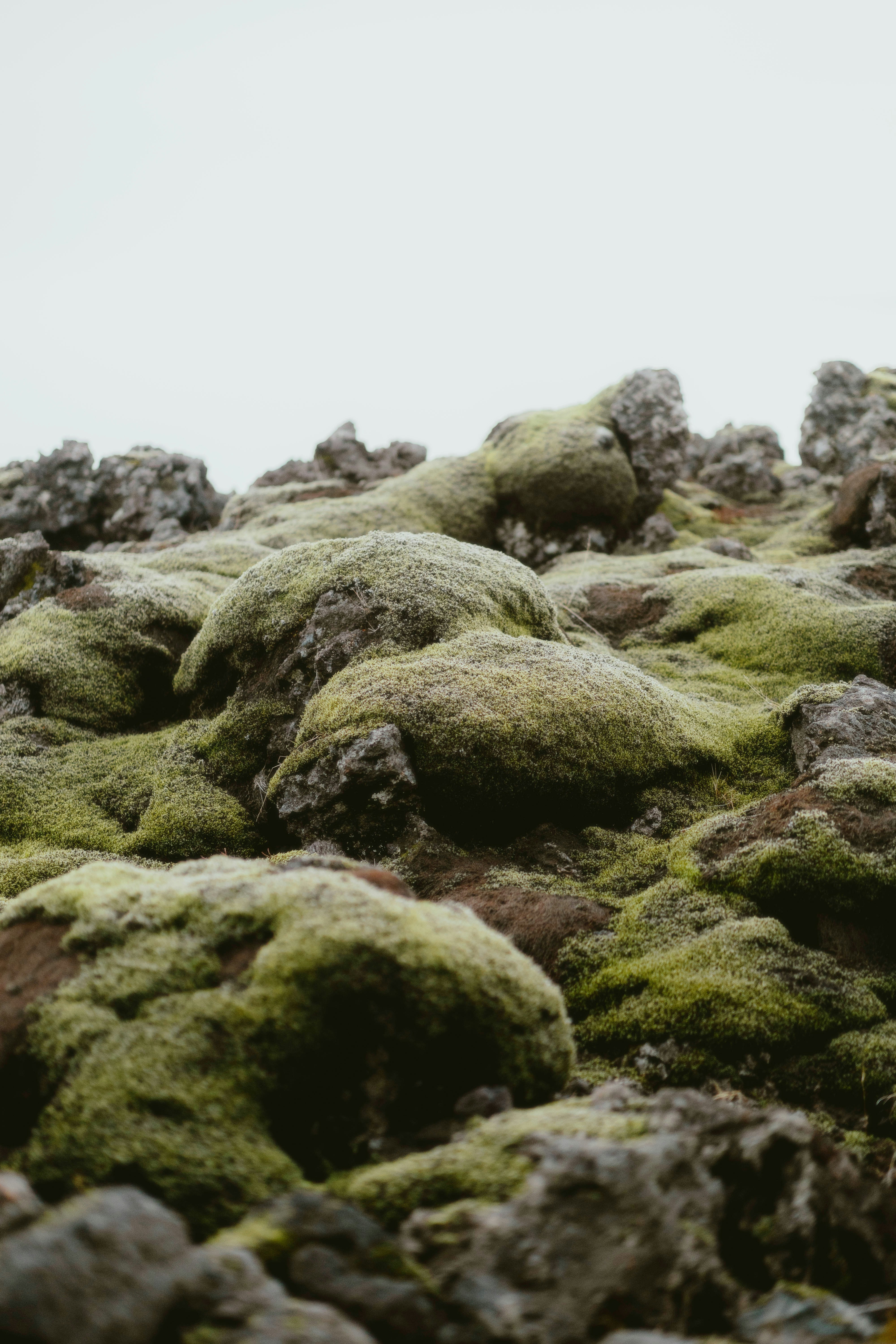 Photo by alingavriliuc