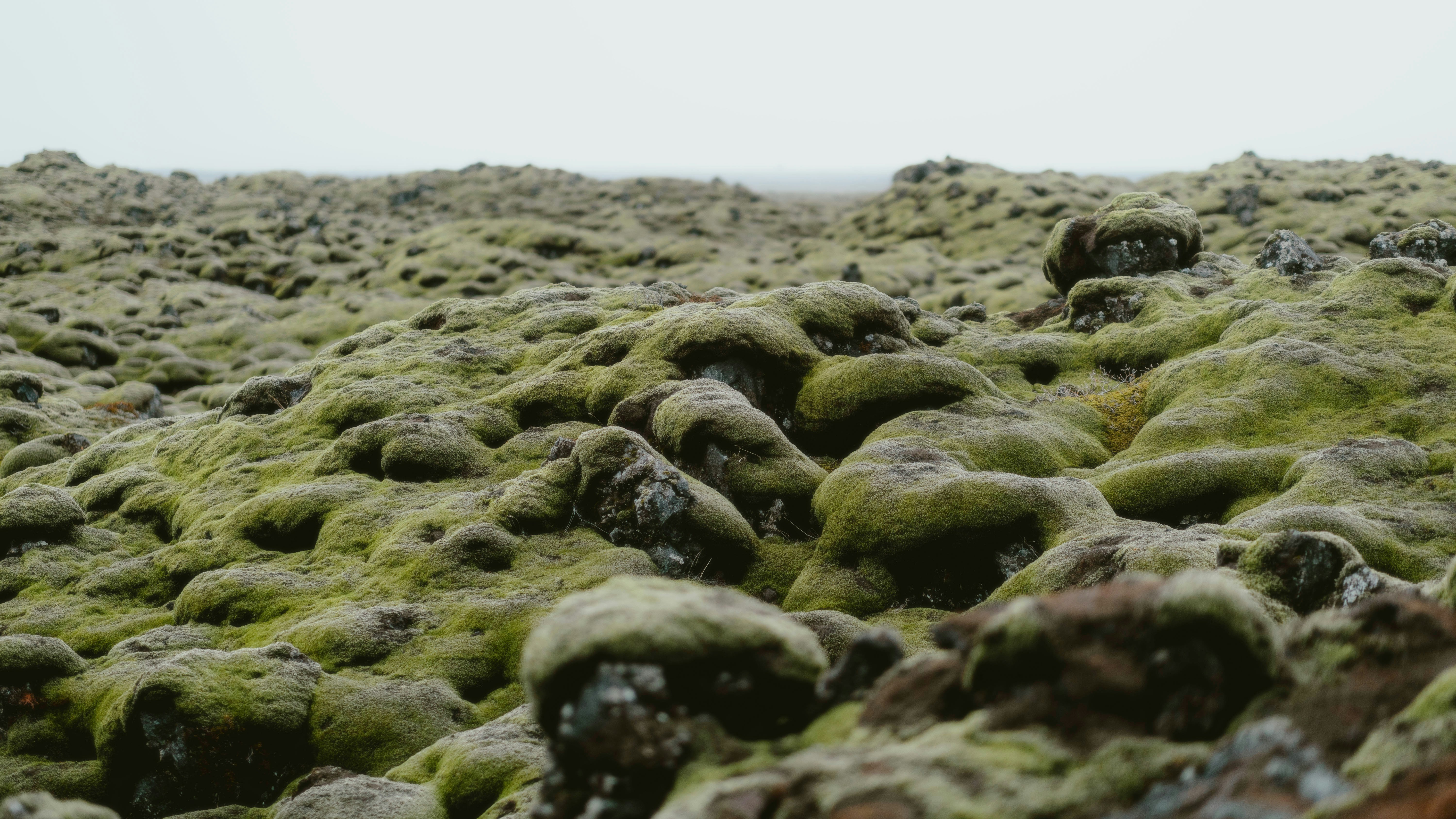 Photo by alingavriliuc