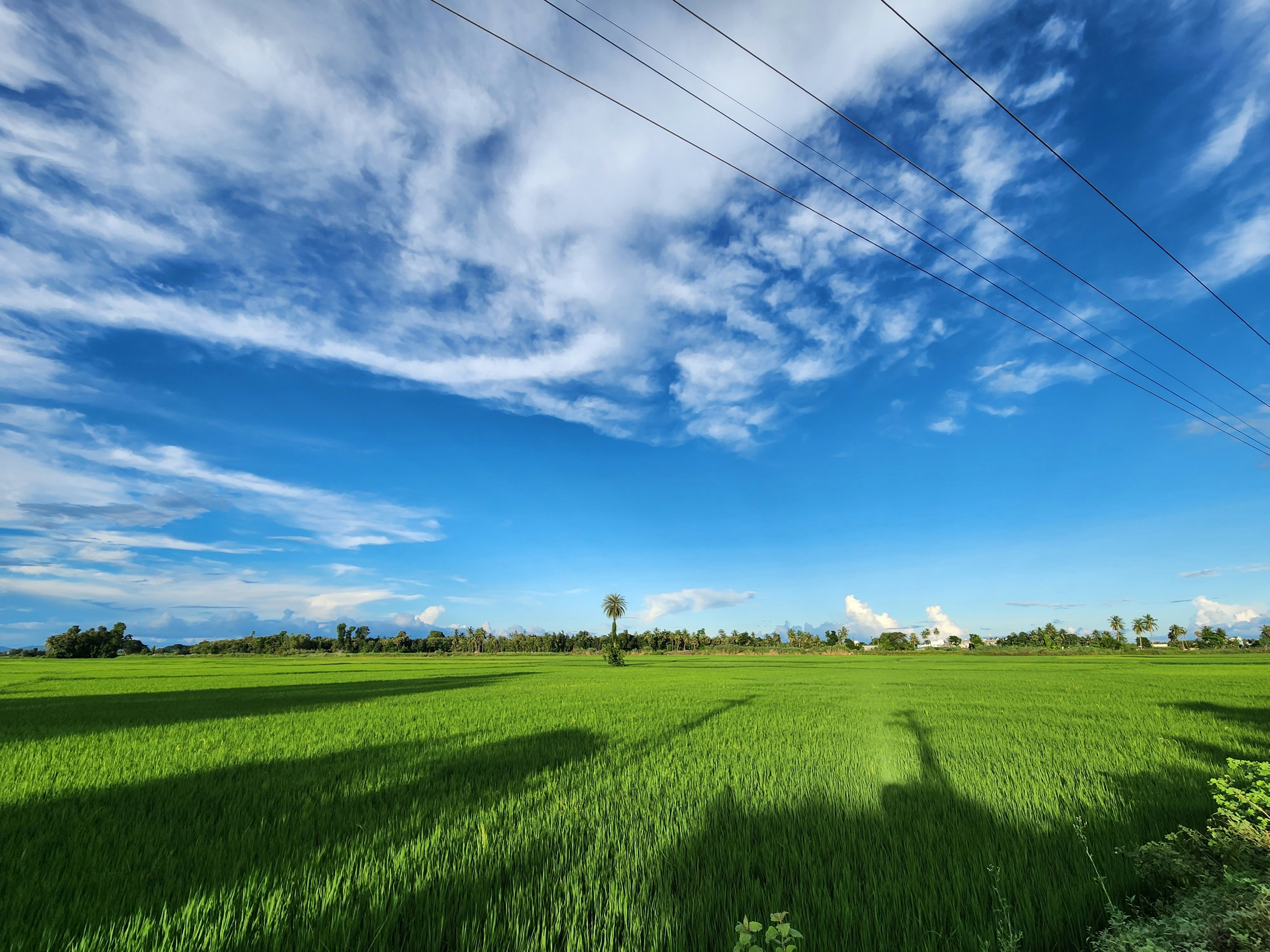 Photo by yaswanthvyda