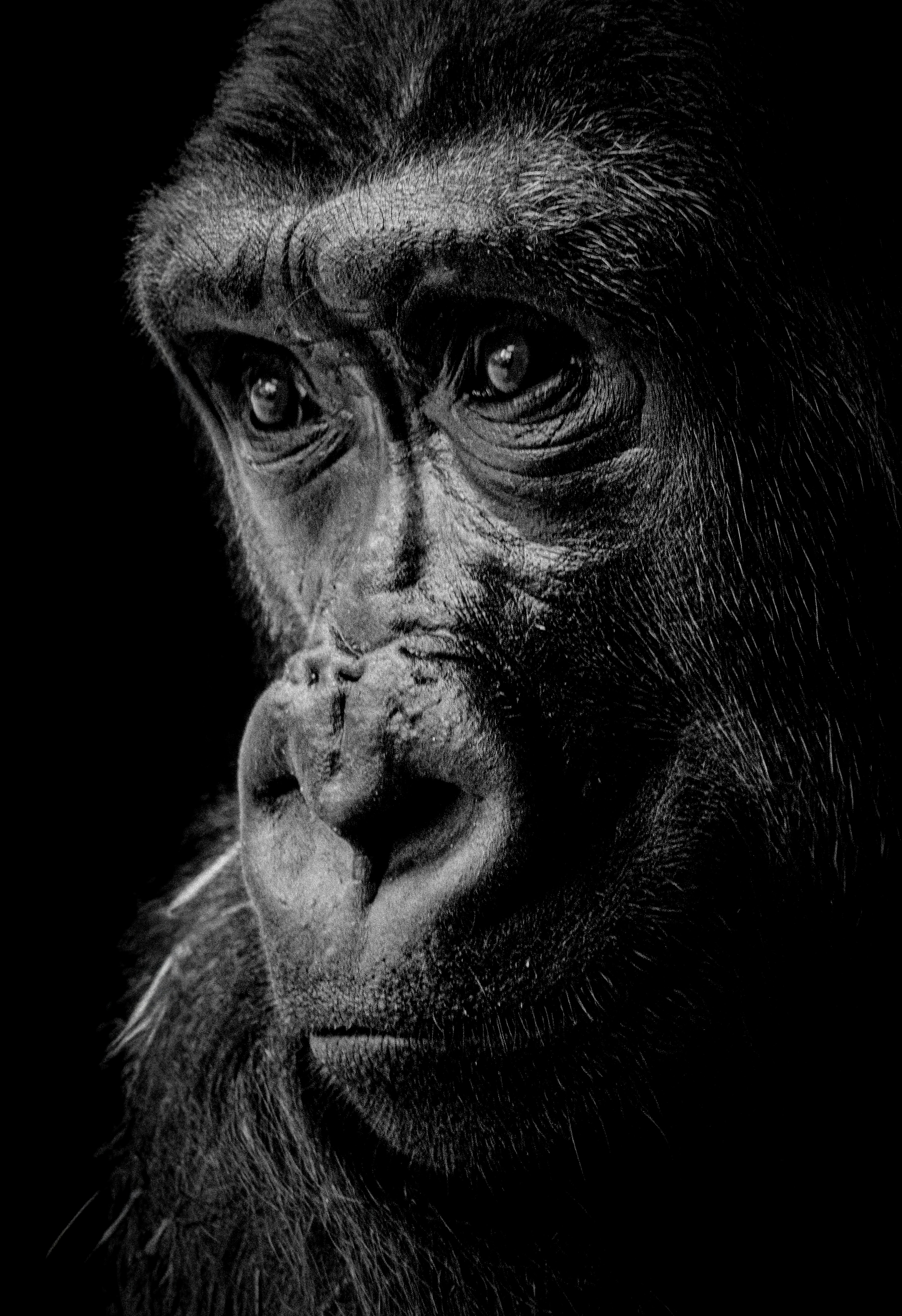 Photo by peterbbryan