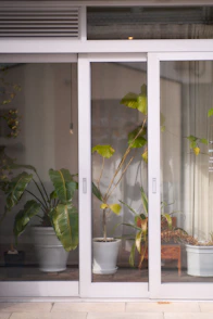Plants are visible through a sliding glass door.
