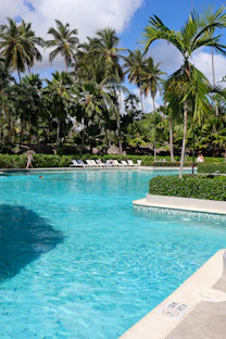 A beautiful pool surrounded by palm trees
