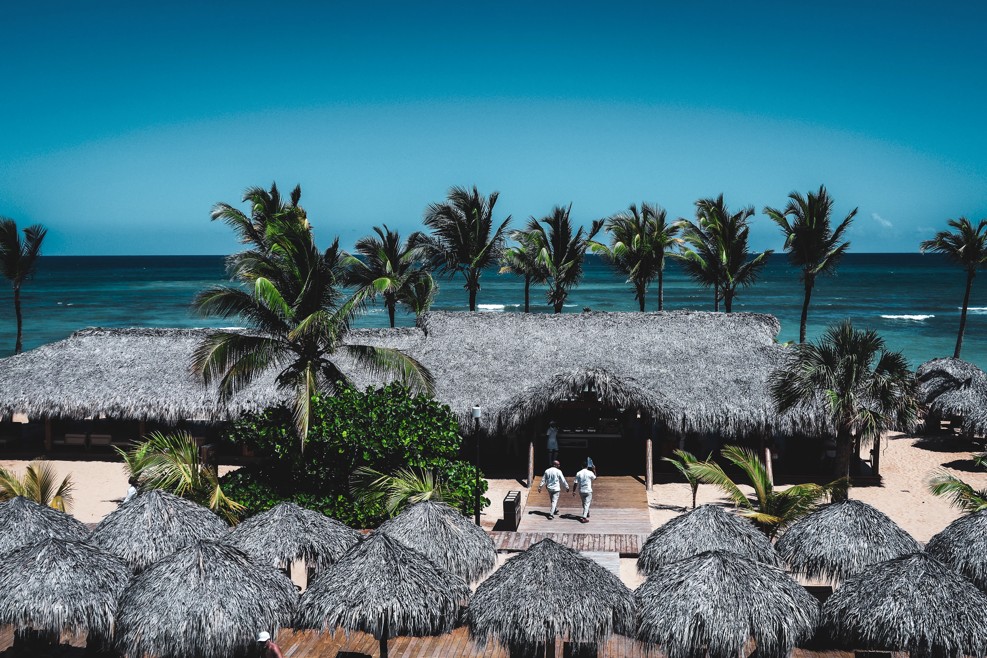 Beach resort with thatched roofs and palm trees