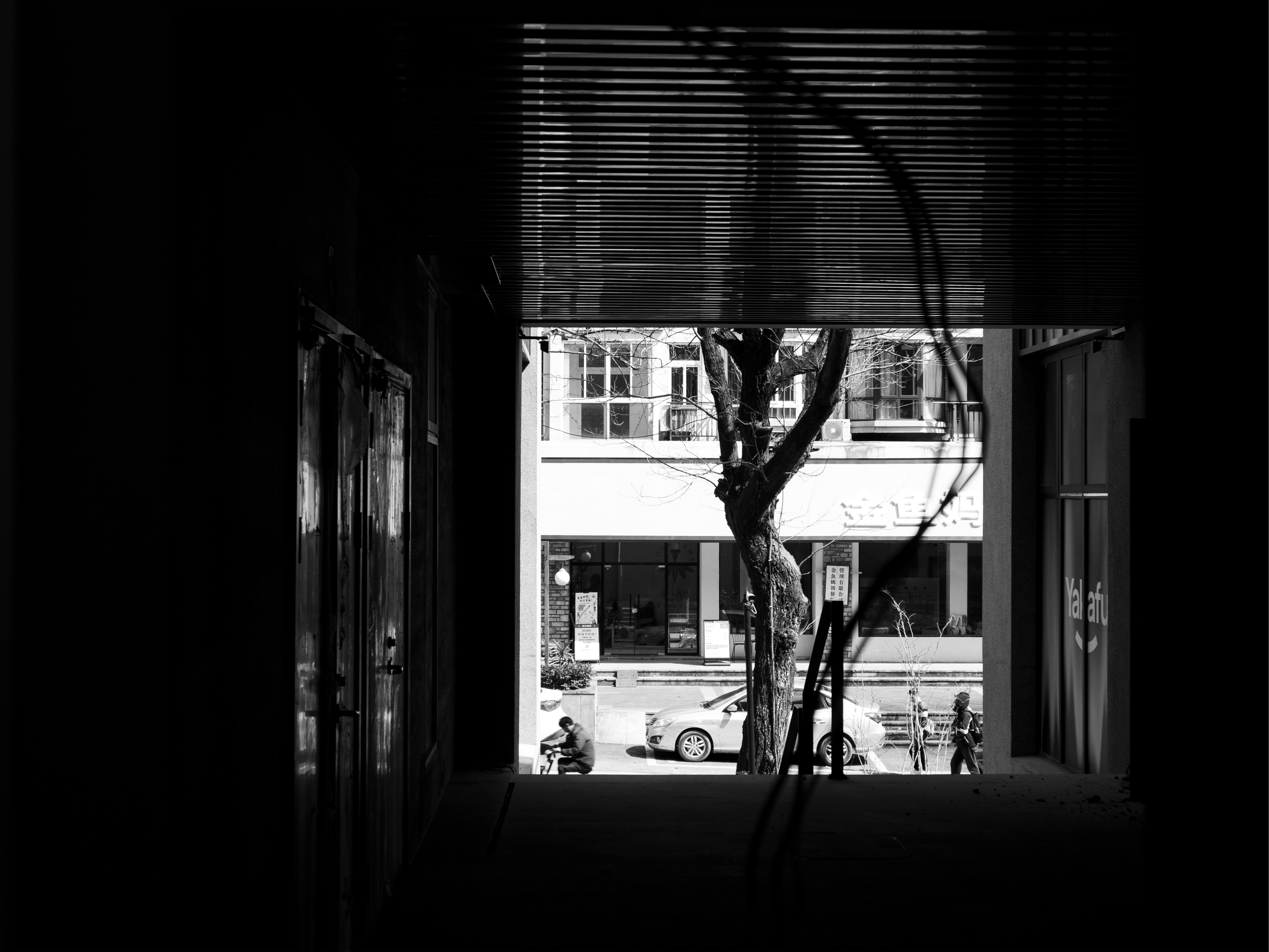 Photo by johnsonzhouz