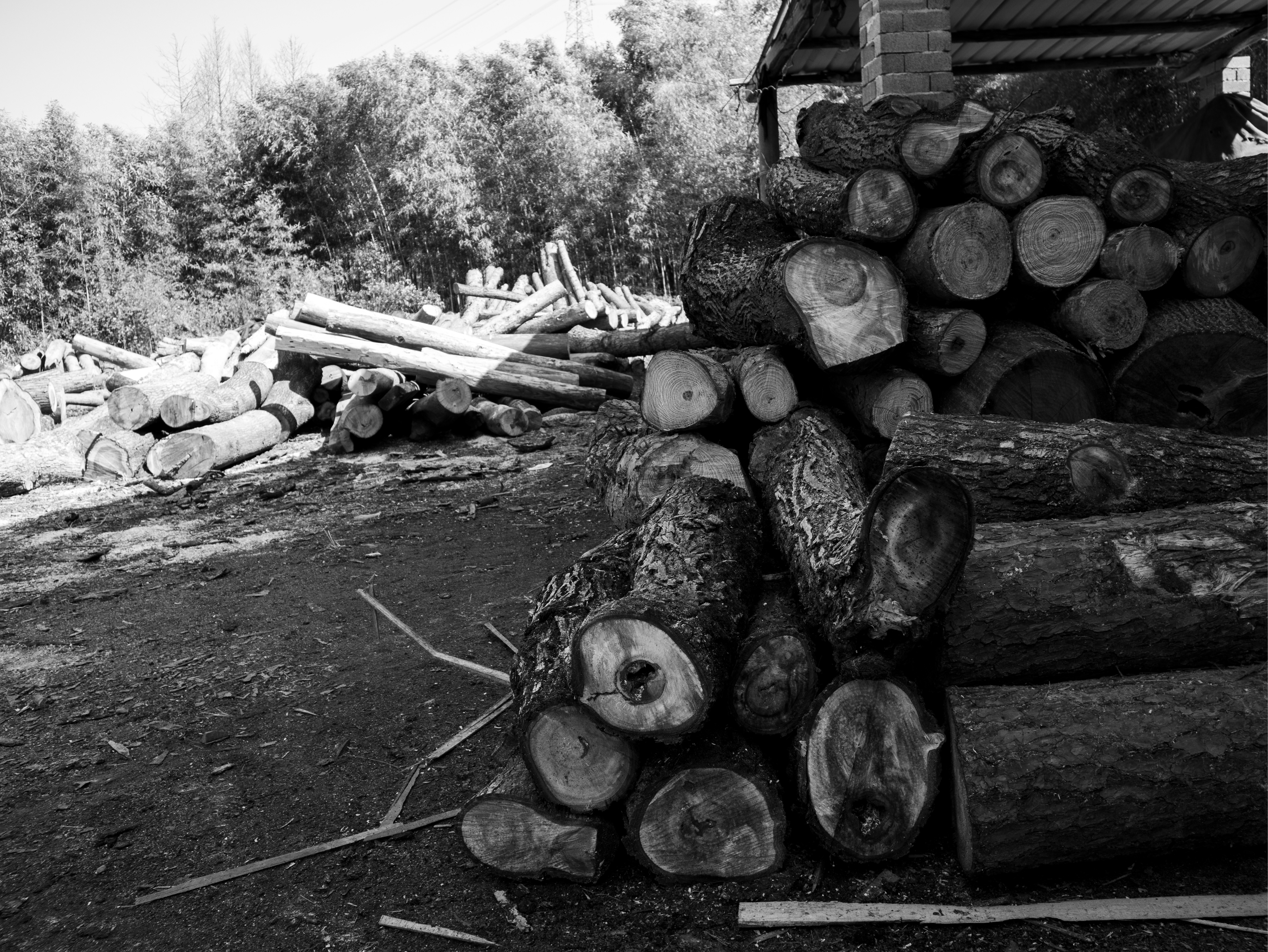 A pile of logs is ready to be burned.
