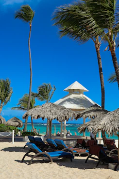 Beach scene with palm trees and clear blue skies.