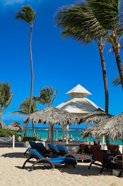 Beach scene with palm trees and clear blue skies.