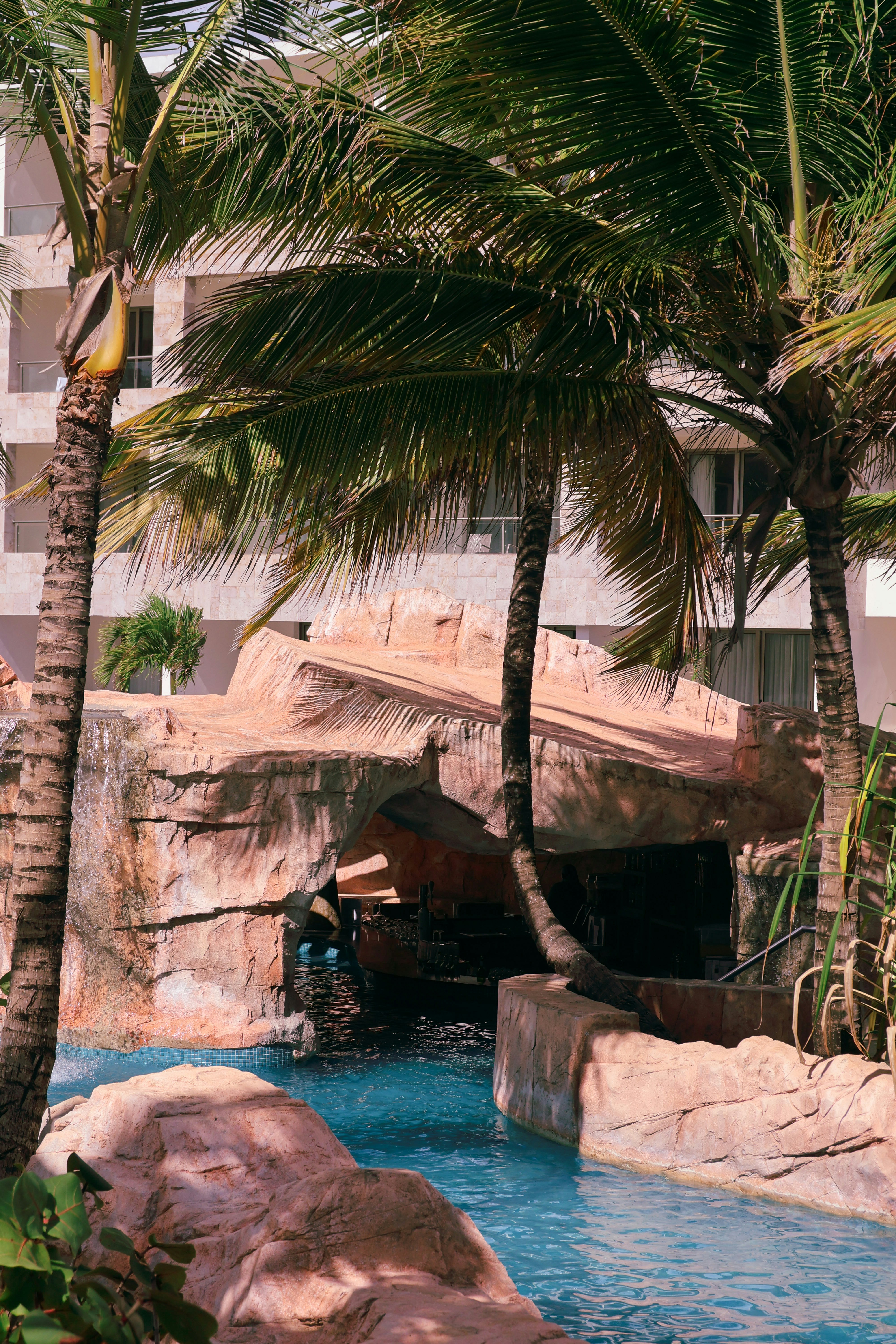 Tropical resort pool with palm trees.