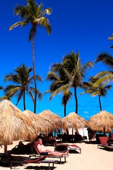People relax under palm trees on a sunny beach.