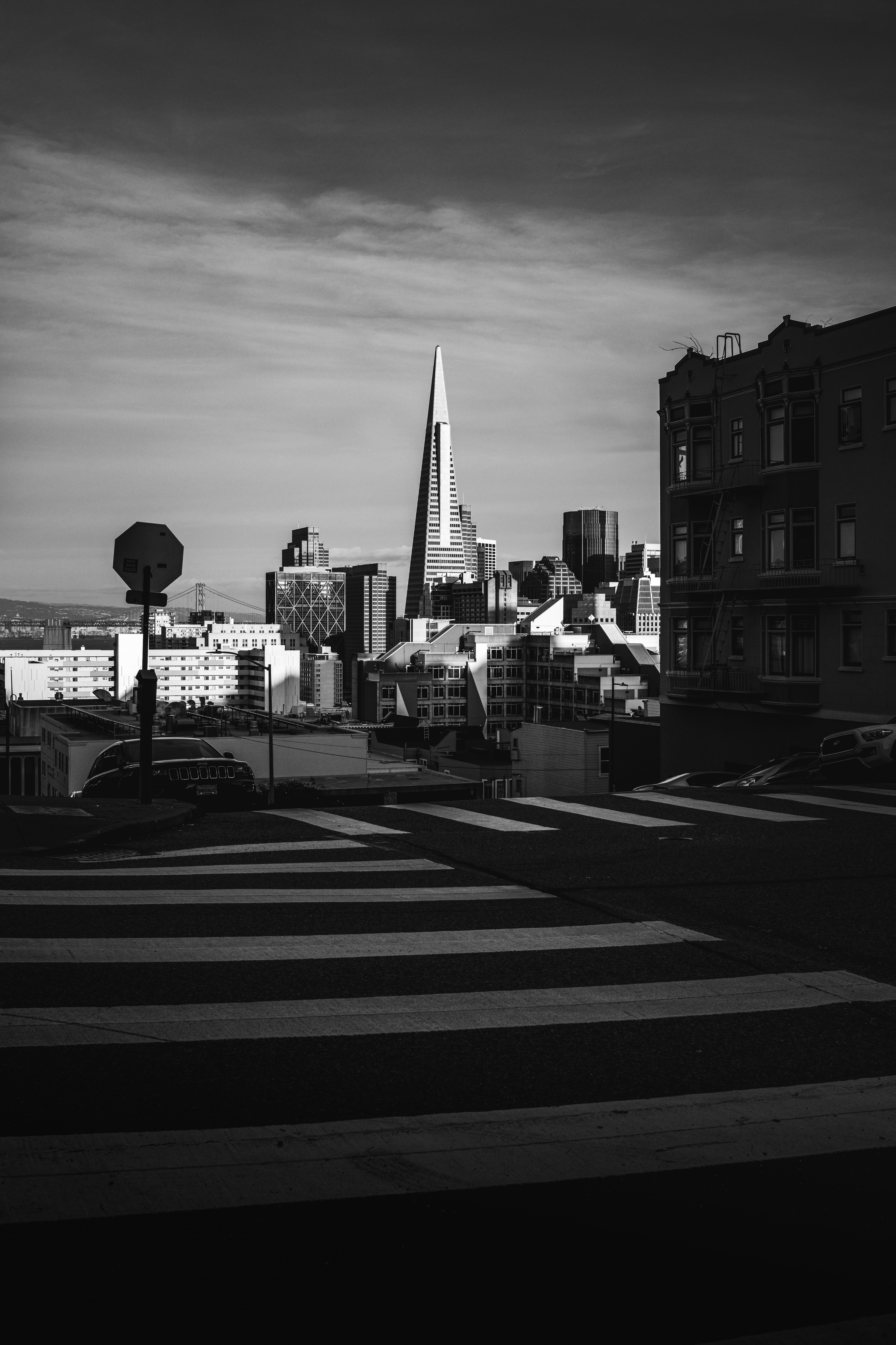 도시 거리에서 샌프란시스코의 스카이 라인.