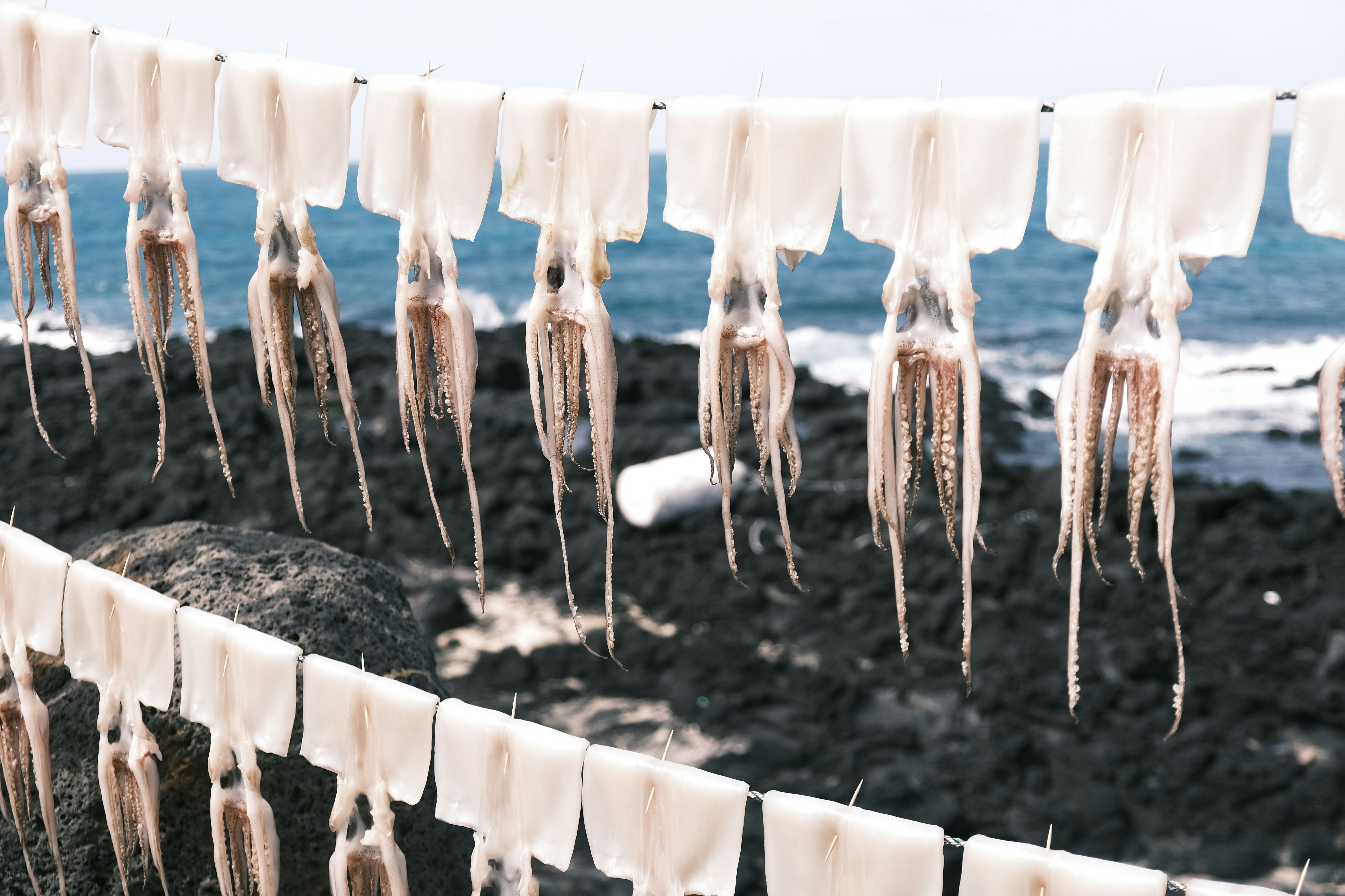 Drying and Curing Techniques That Optimize Moisture Content and Minimize Contaminants