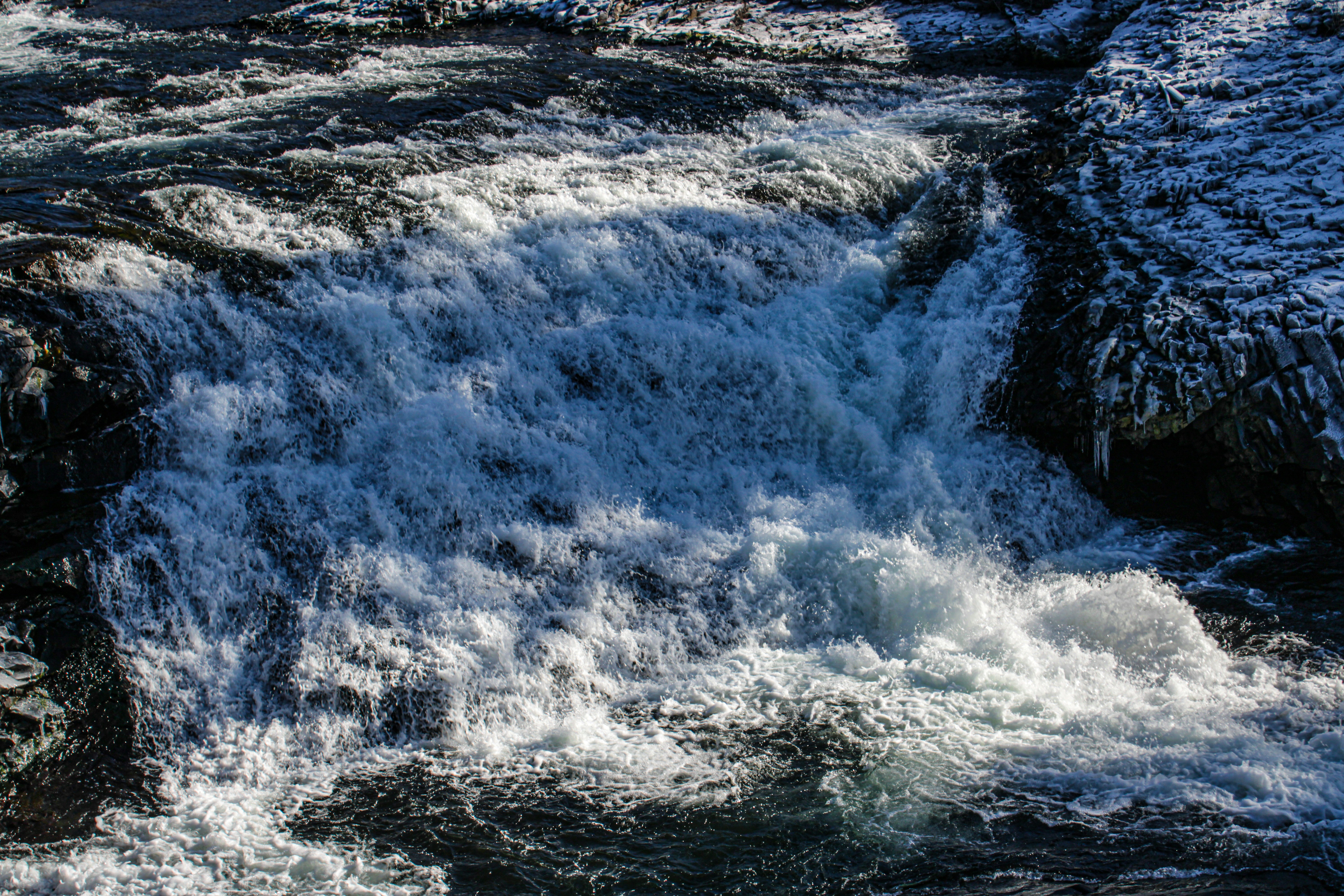 Photo by prphotography262