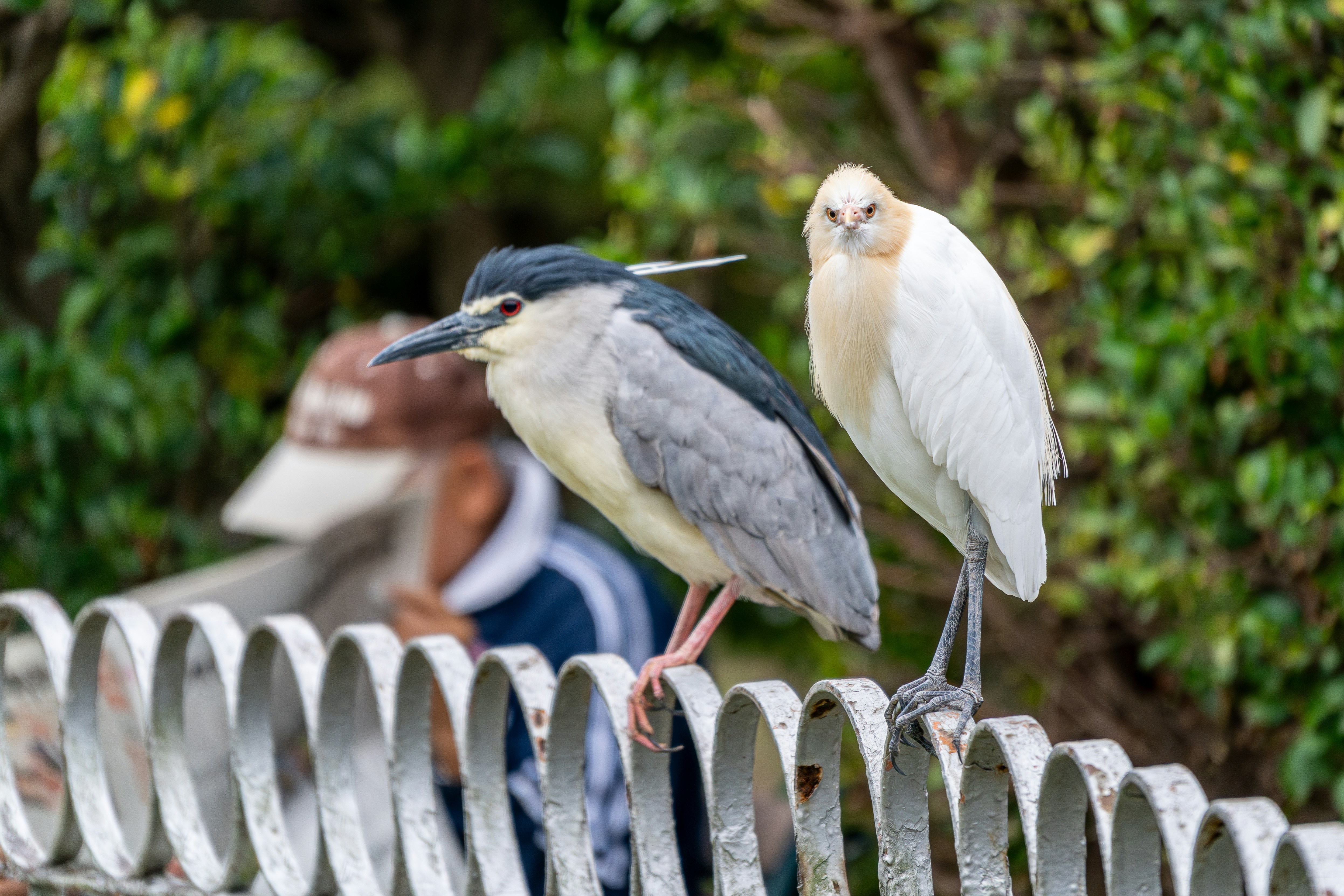 Photo by winstonchen