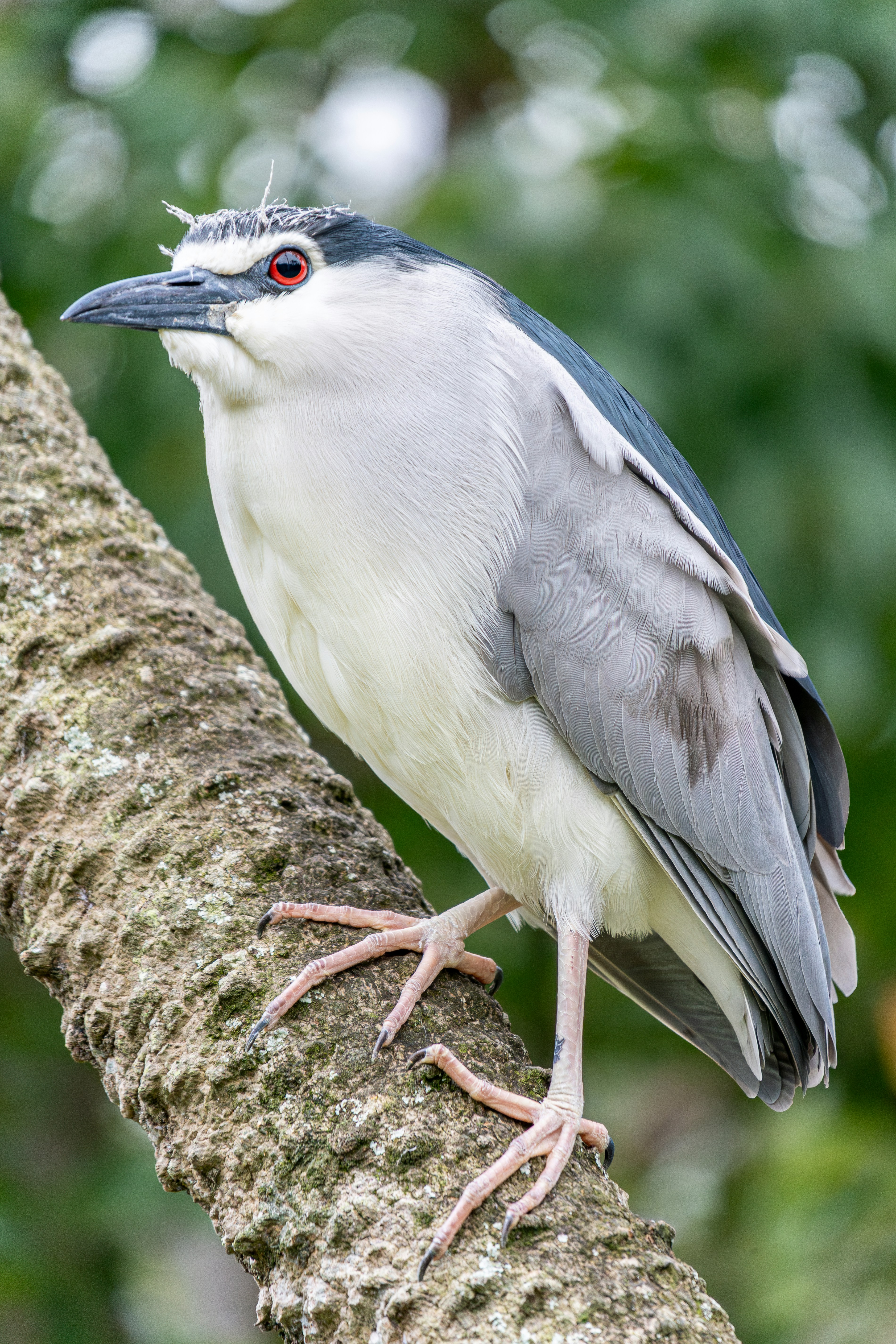 Photo by winstonchen