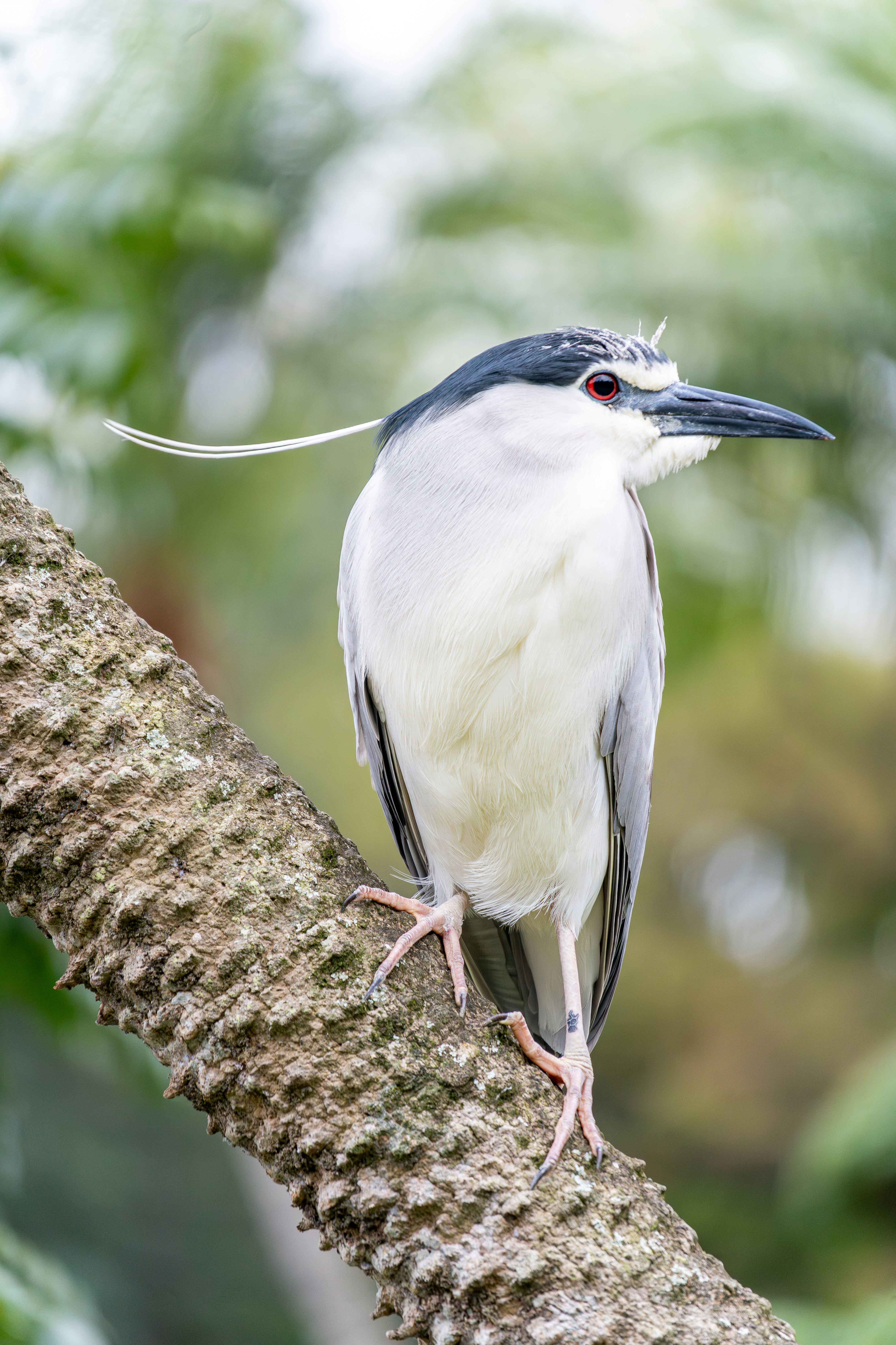 Photo by winstonchen