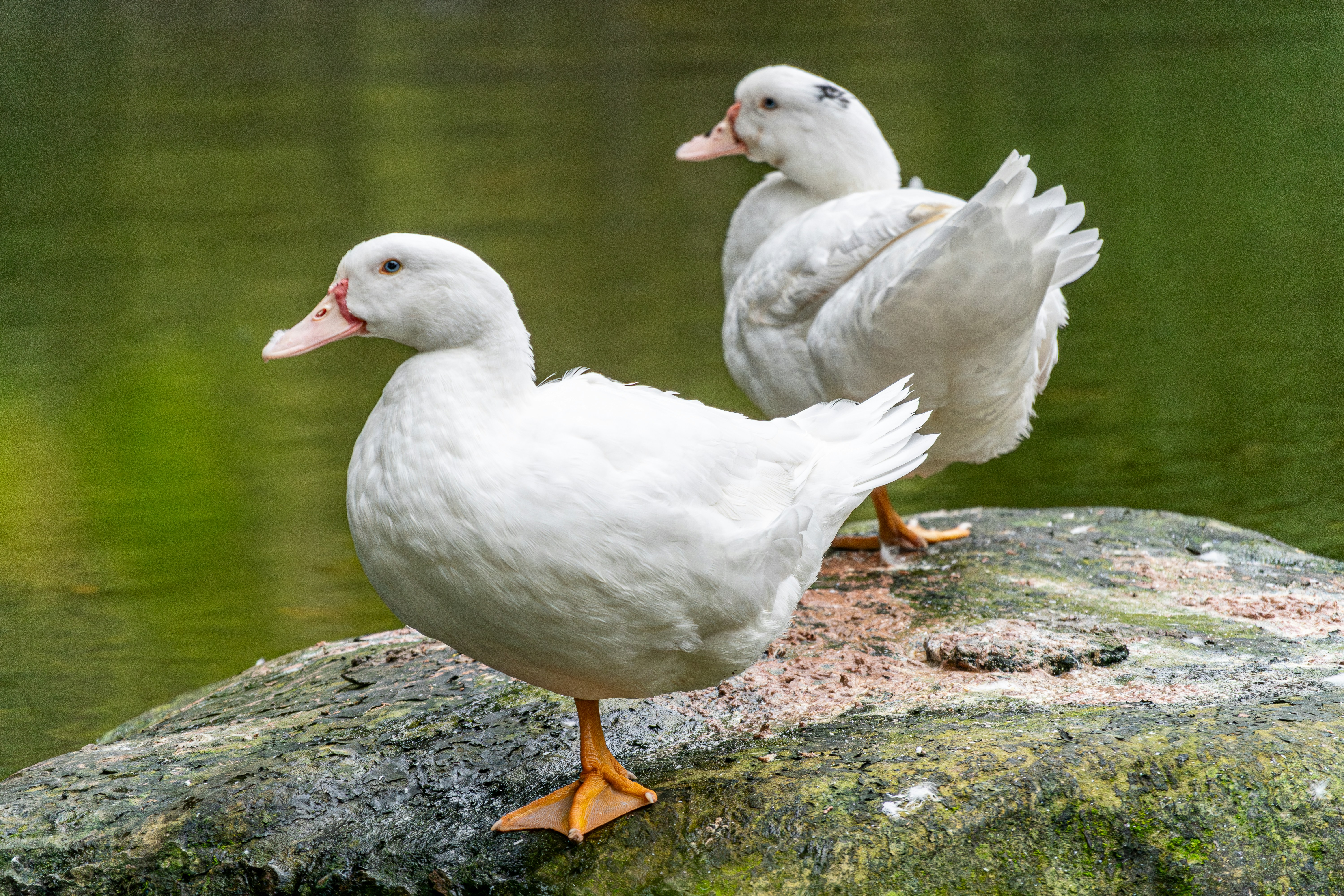 Photo by winstonchen