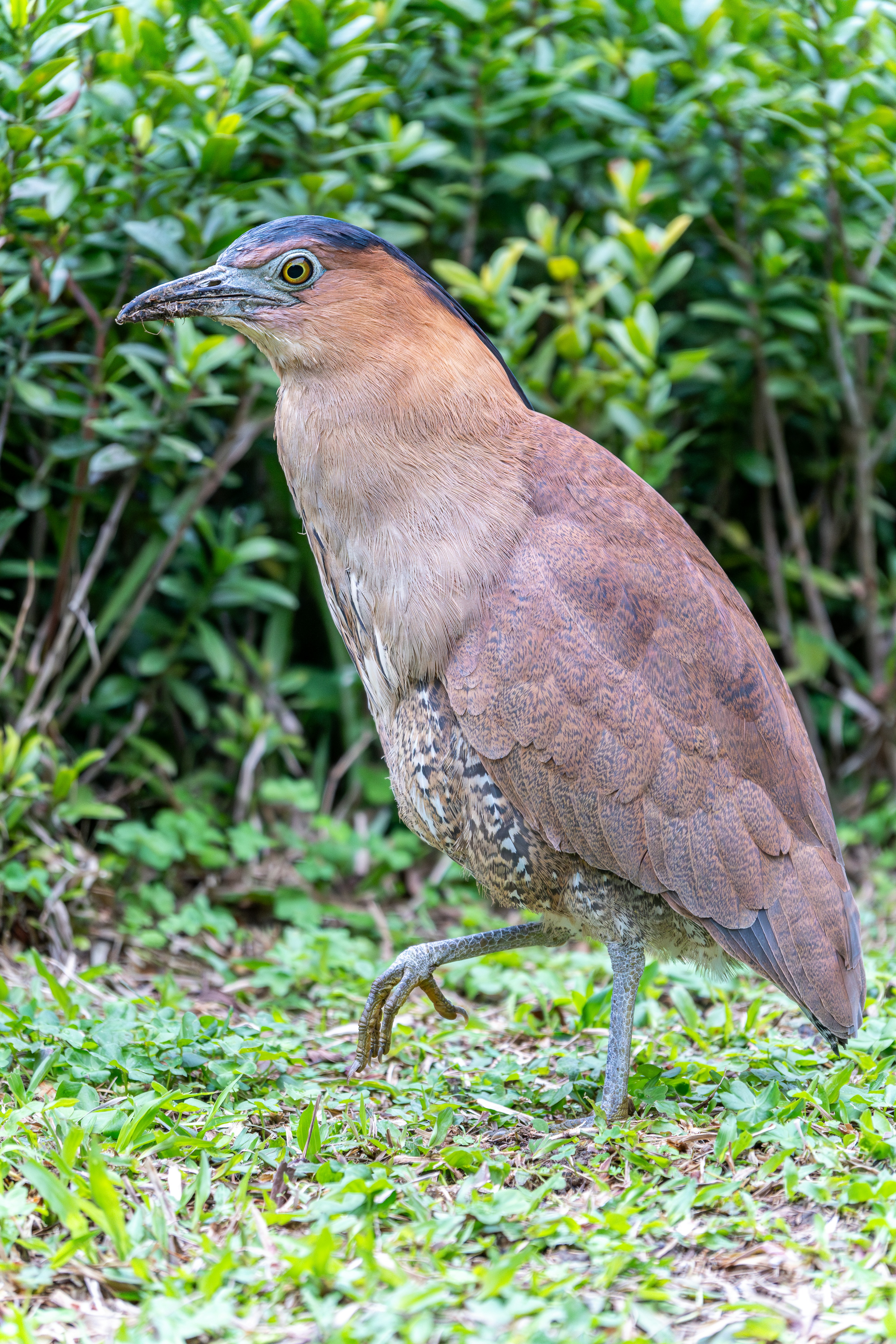 Photo by winstonchen