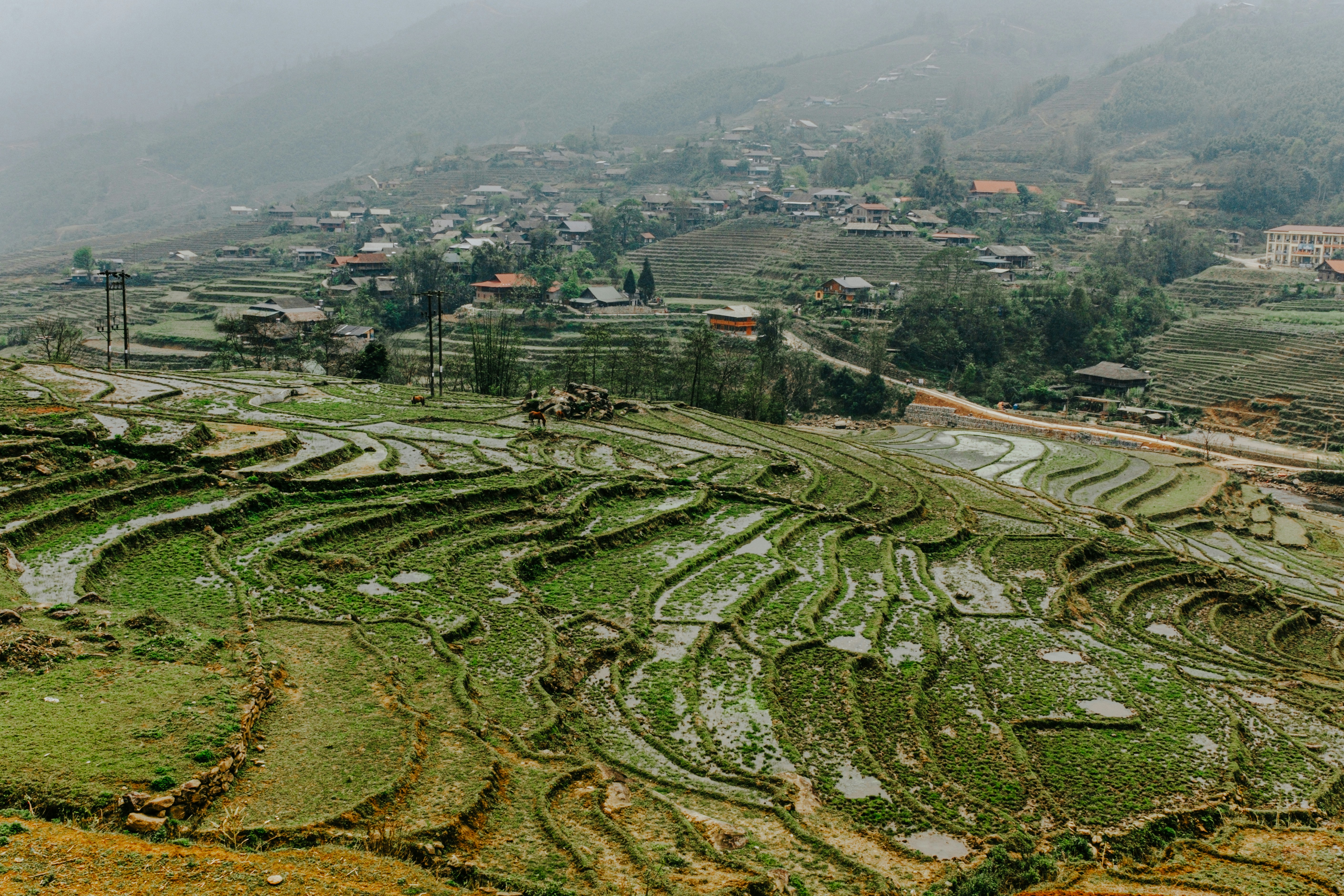 Terraced rice fields and village in the hills.