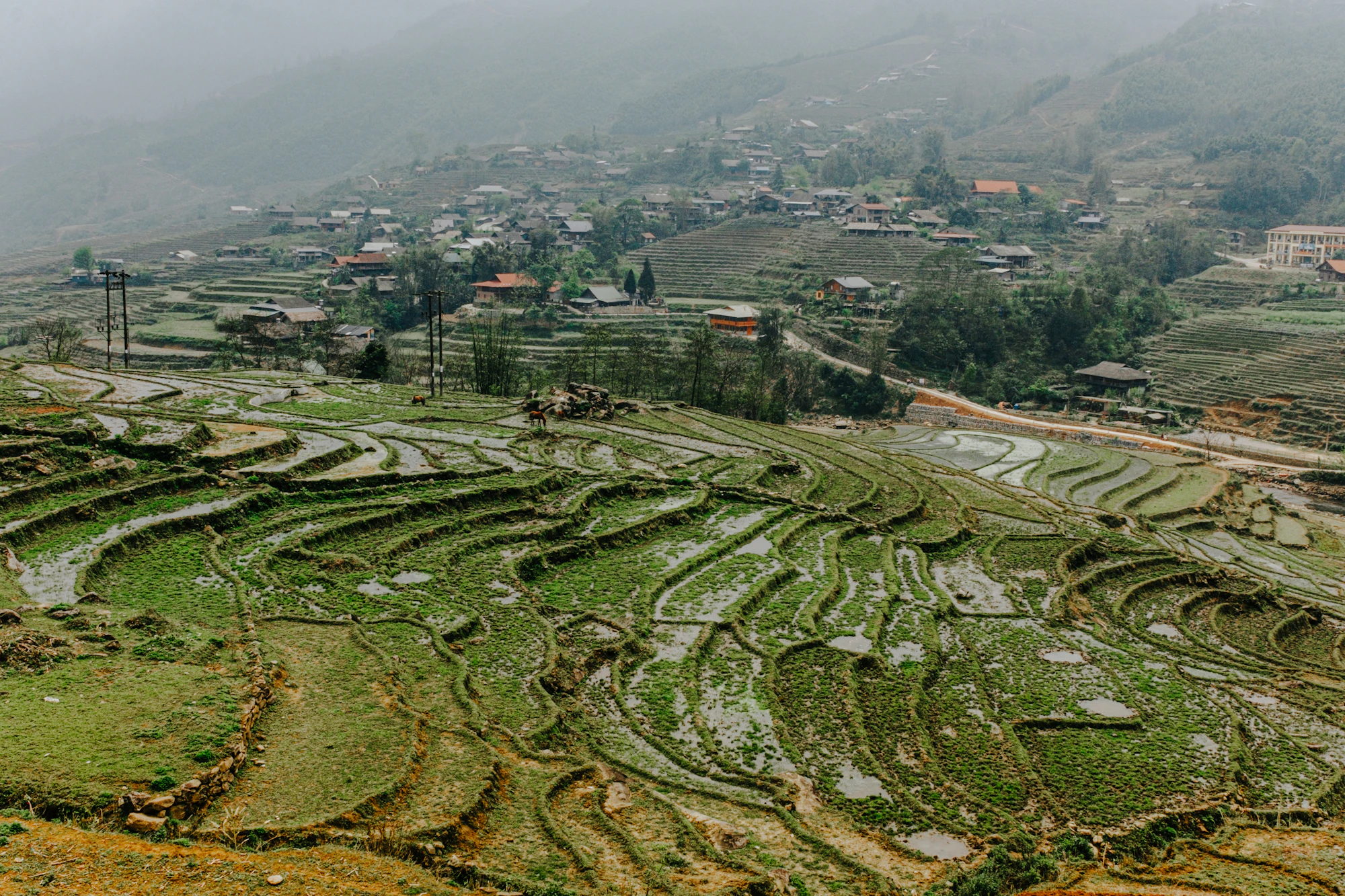 Terraced fields and village buildings in the hills around Sapa