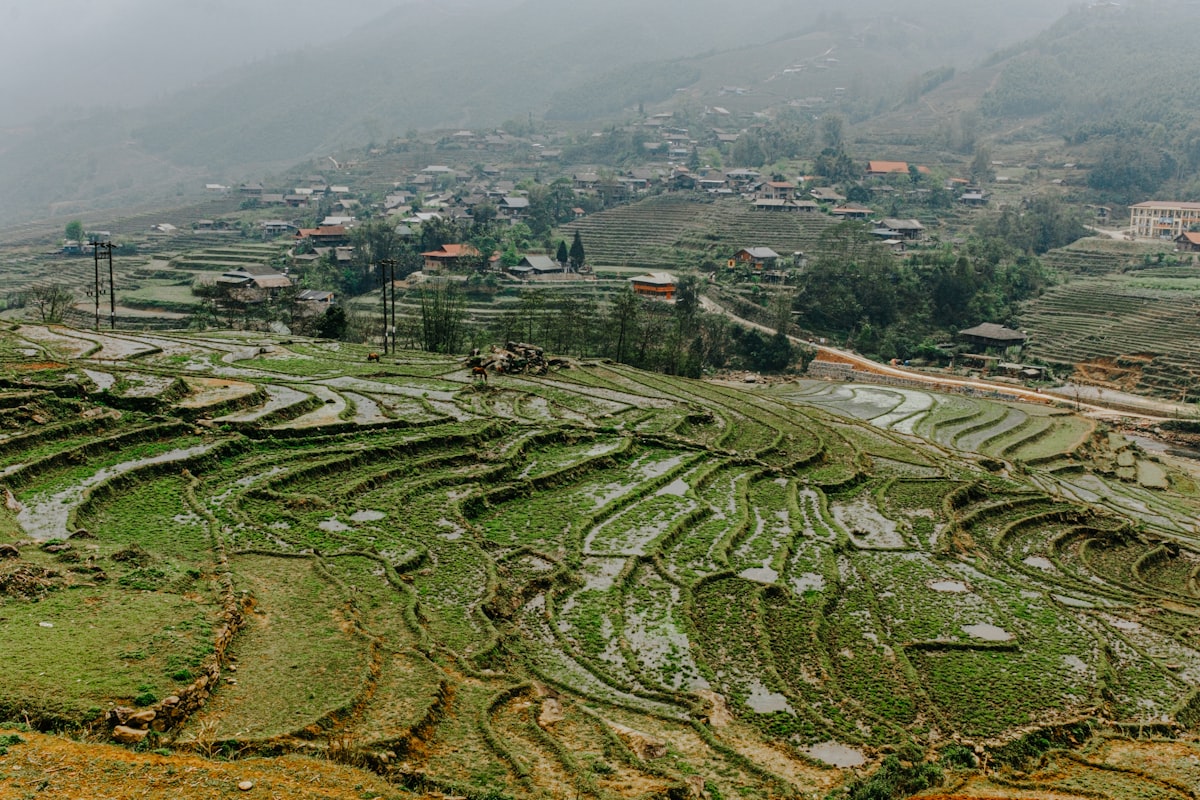 Sapa in the Mist: Rice Terraces and Hill Tribe Mornings