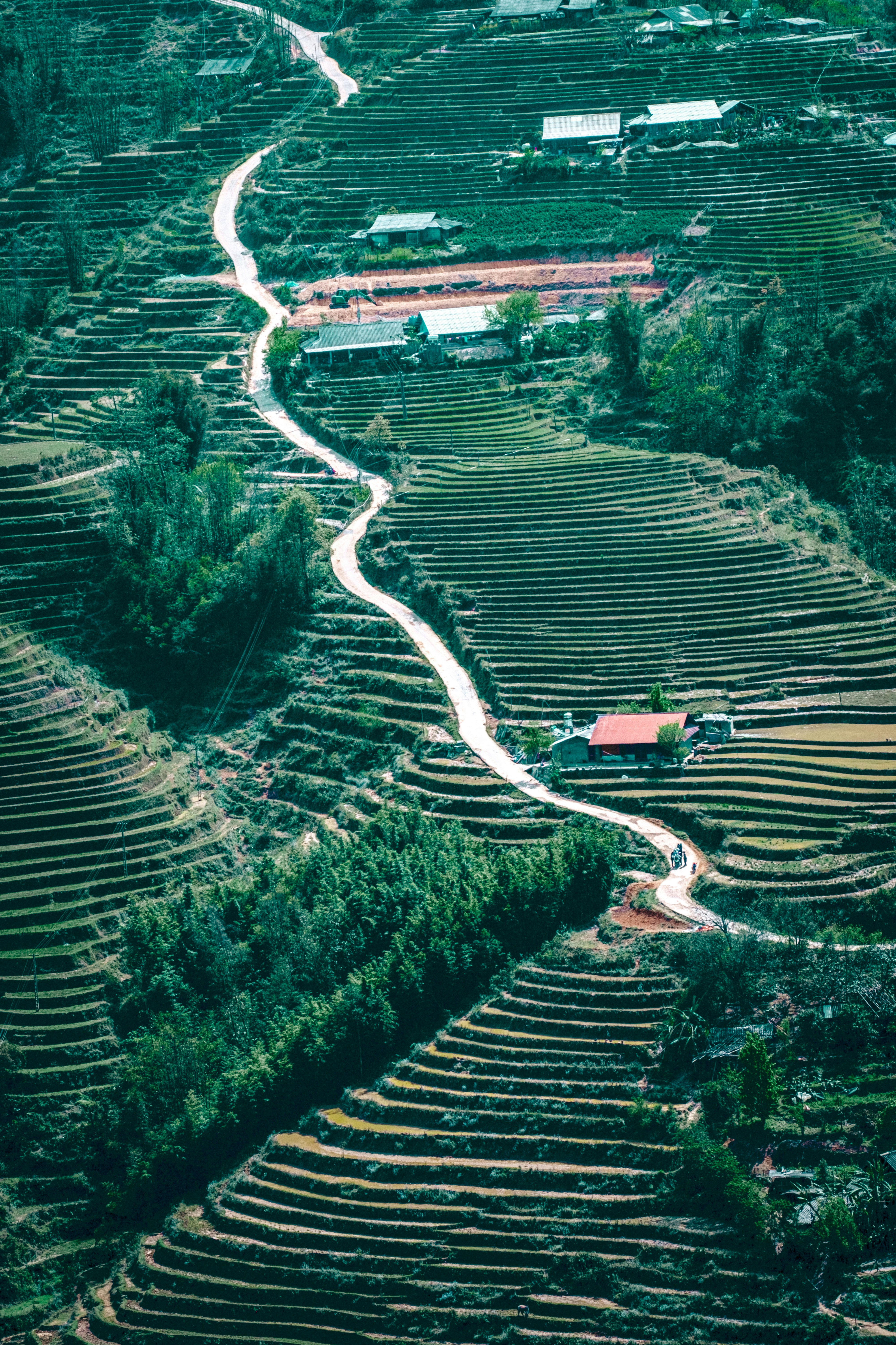 Conquering Fansipan: Cable Car vs Hiking Options