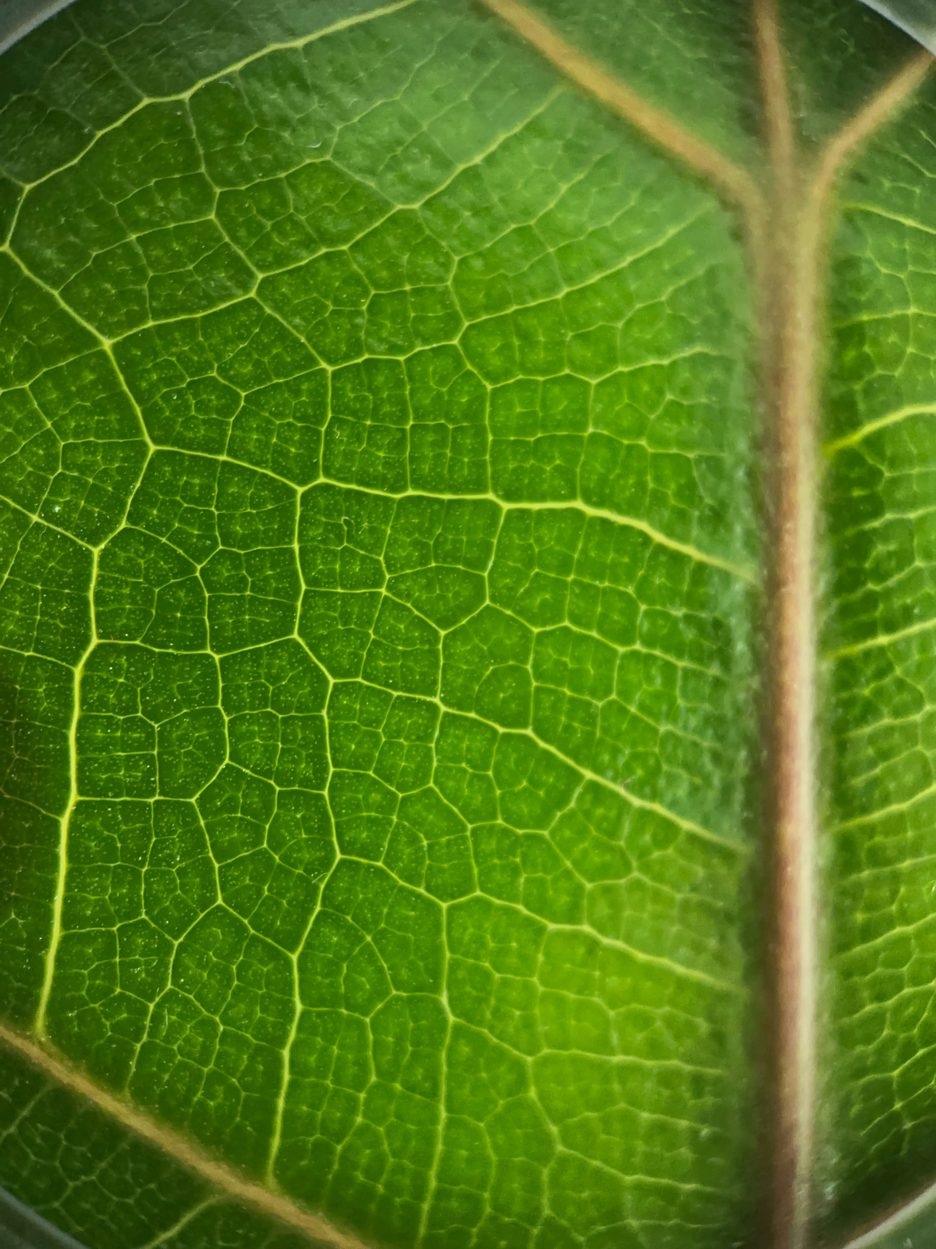 Photo by lindseypence3