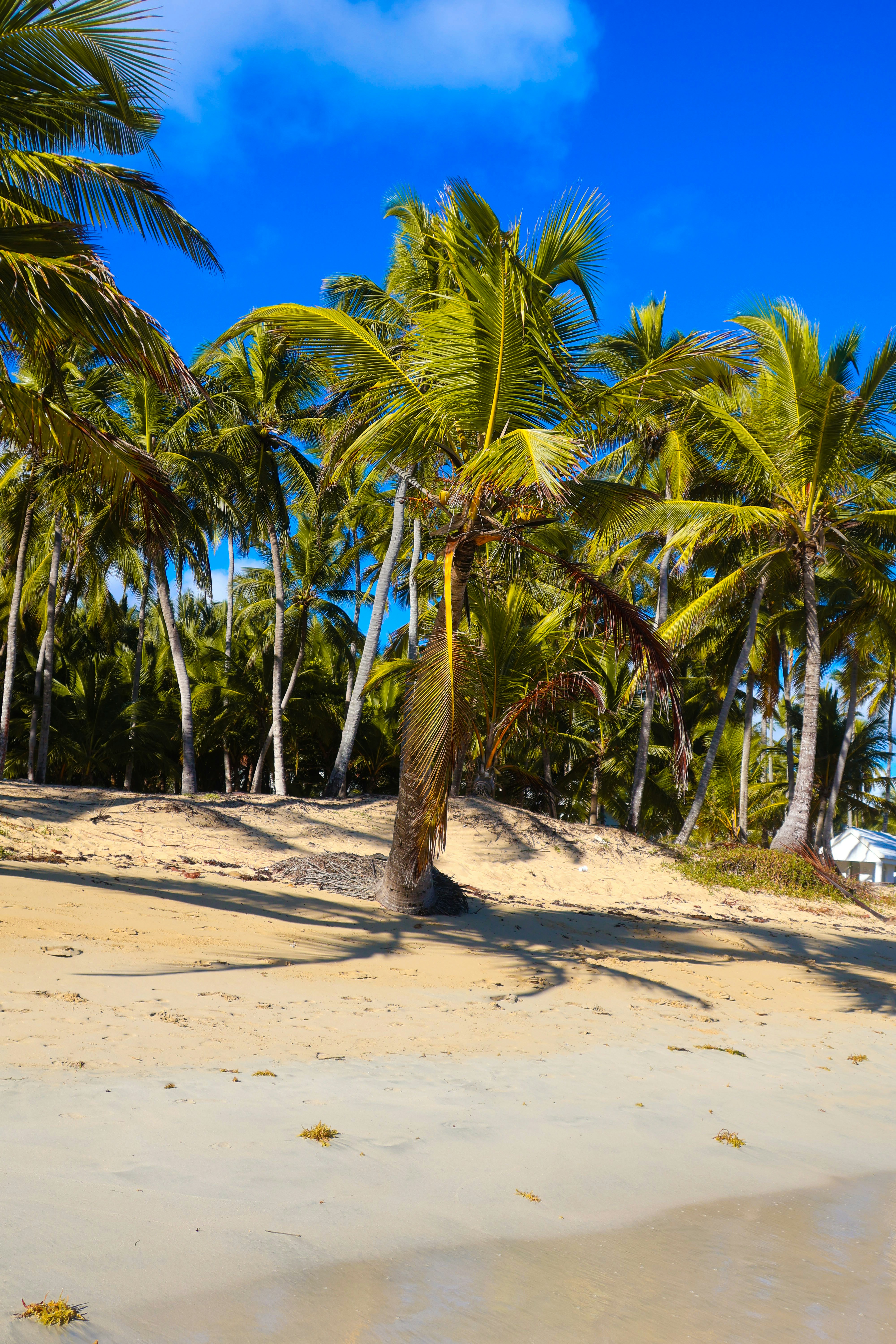 Photo by traveleroohlala