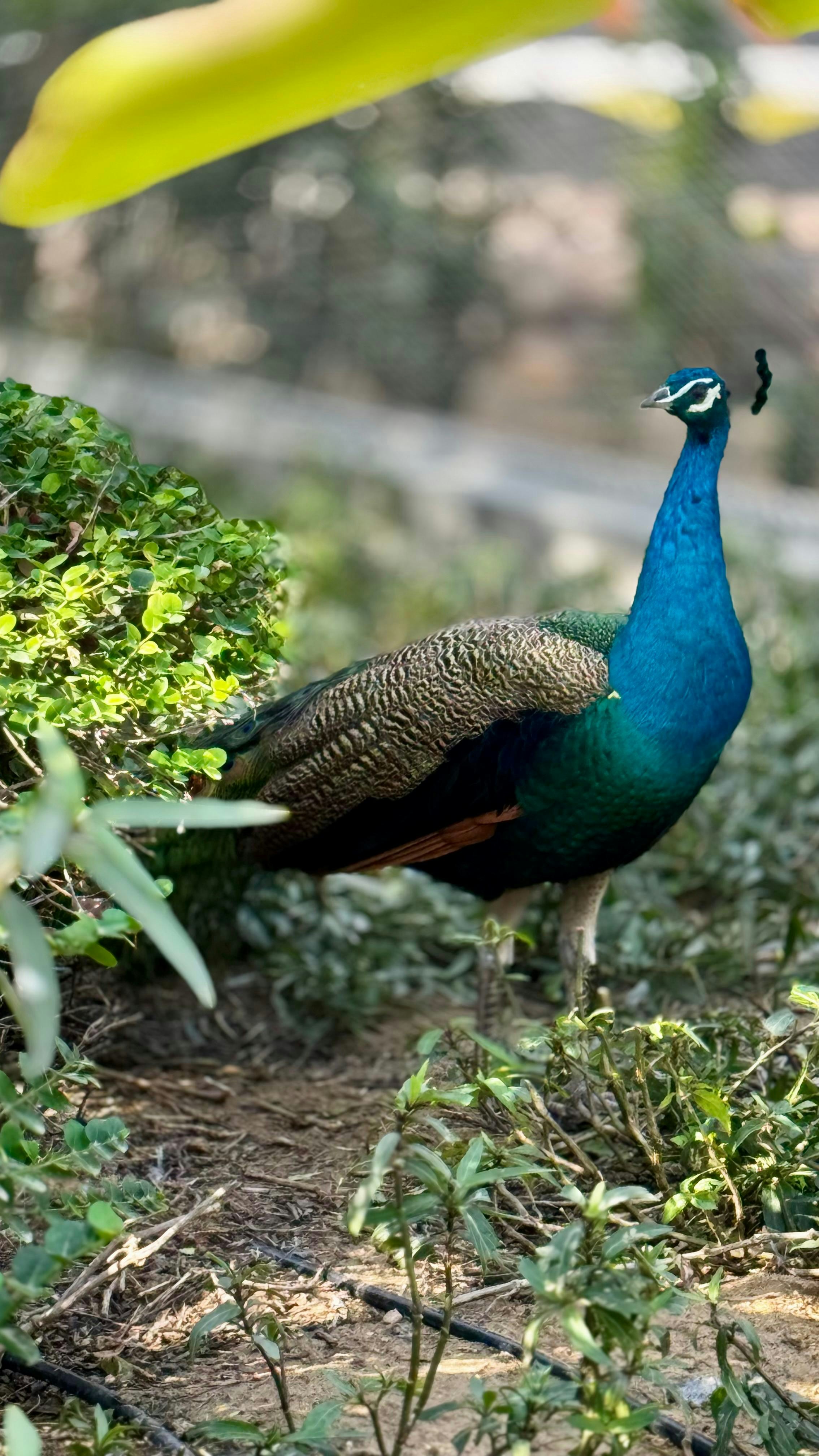 Photo by aaron_moncy