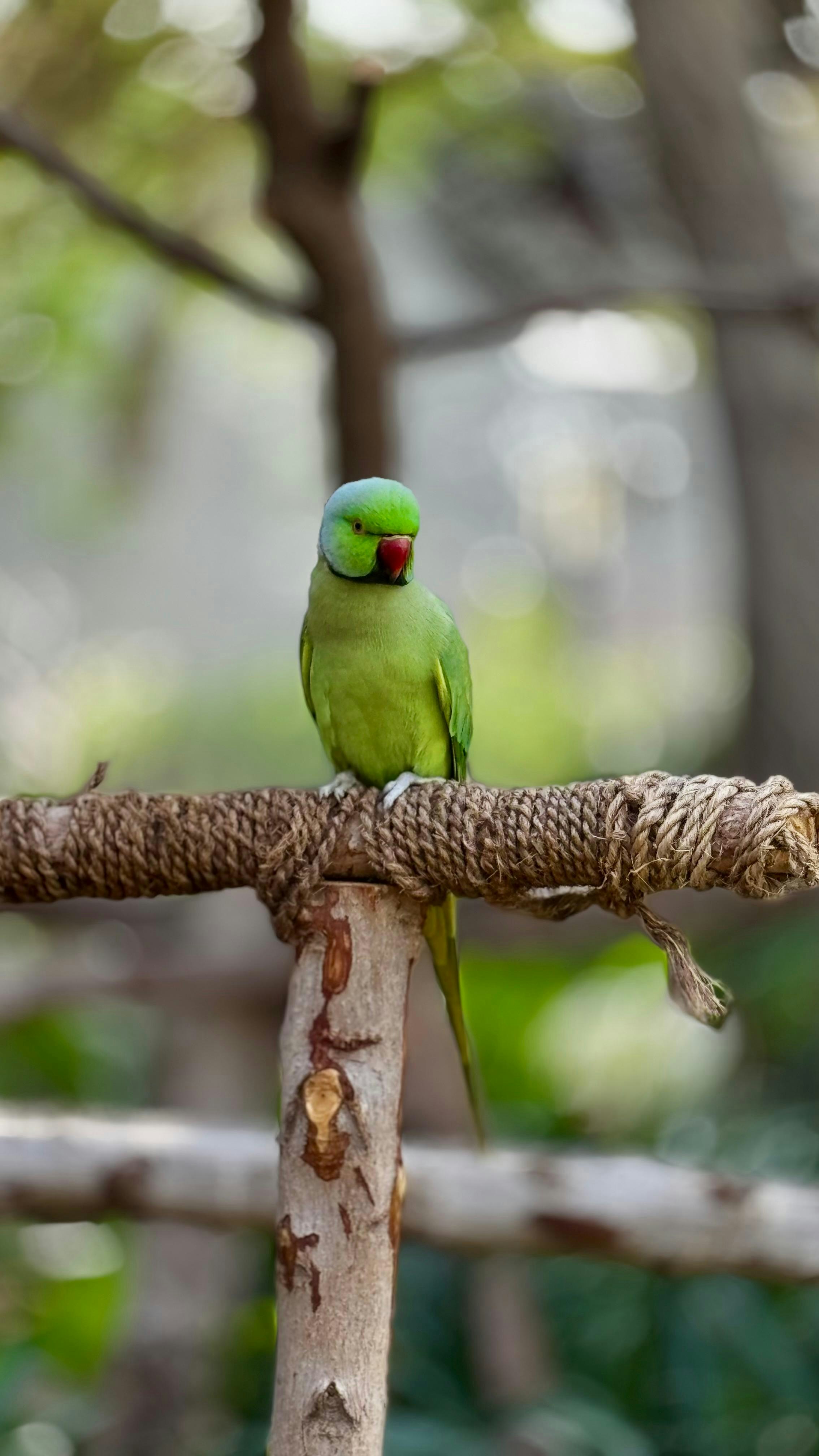 Photo by aaron_moncy