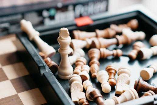 Chess pieces arranged inside a storage case.