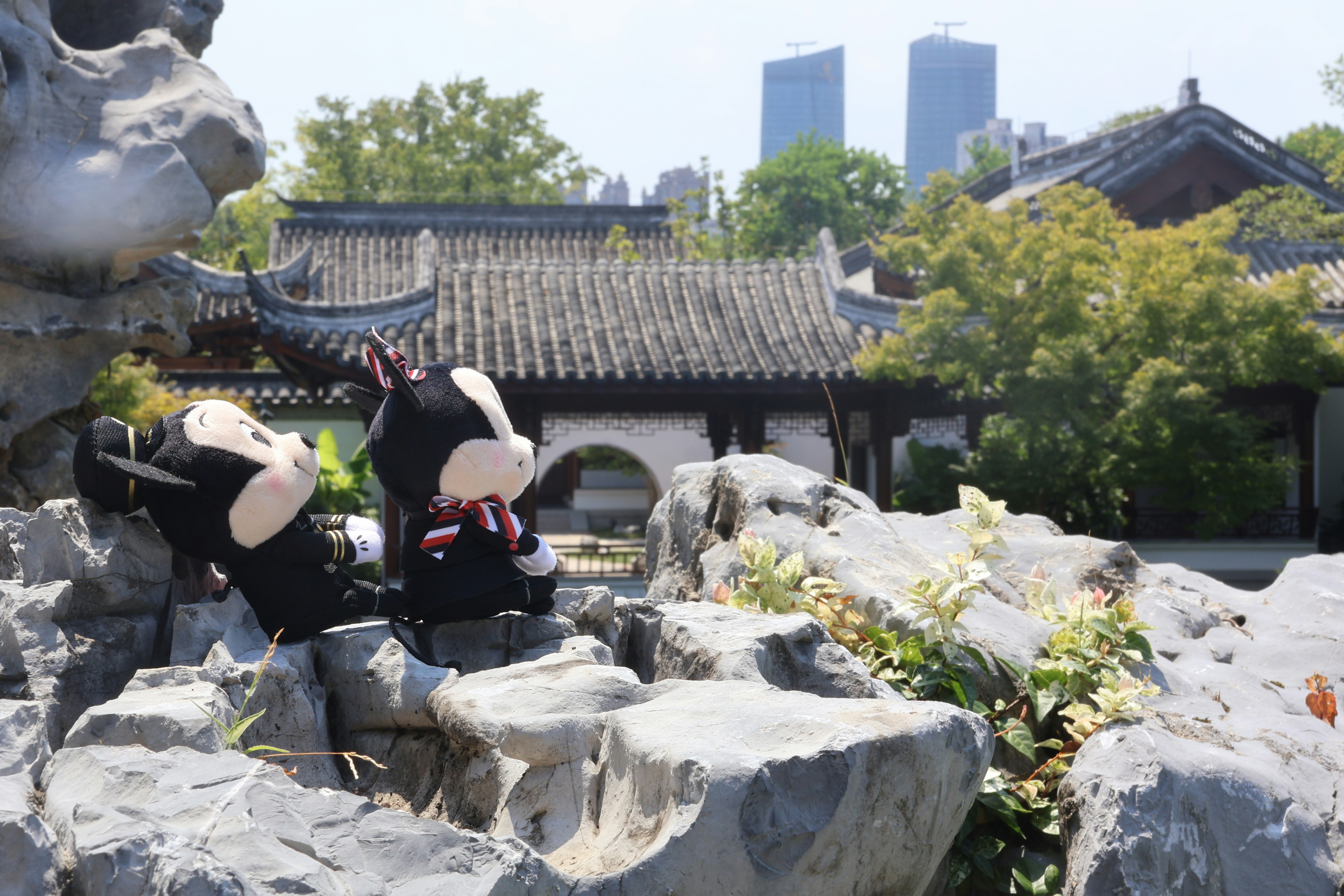 文化衝擊！這些「潛規則」你敢信？背後真相讓你三觀全毀！