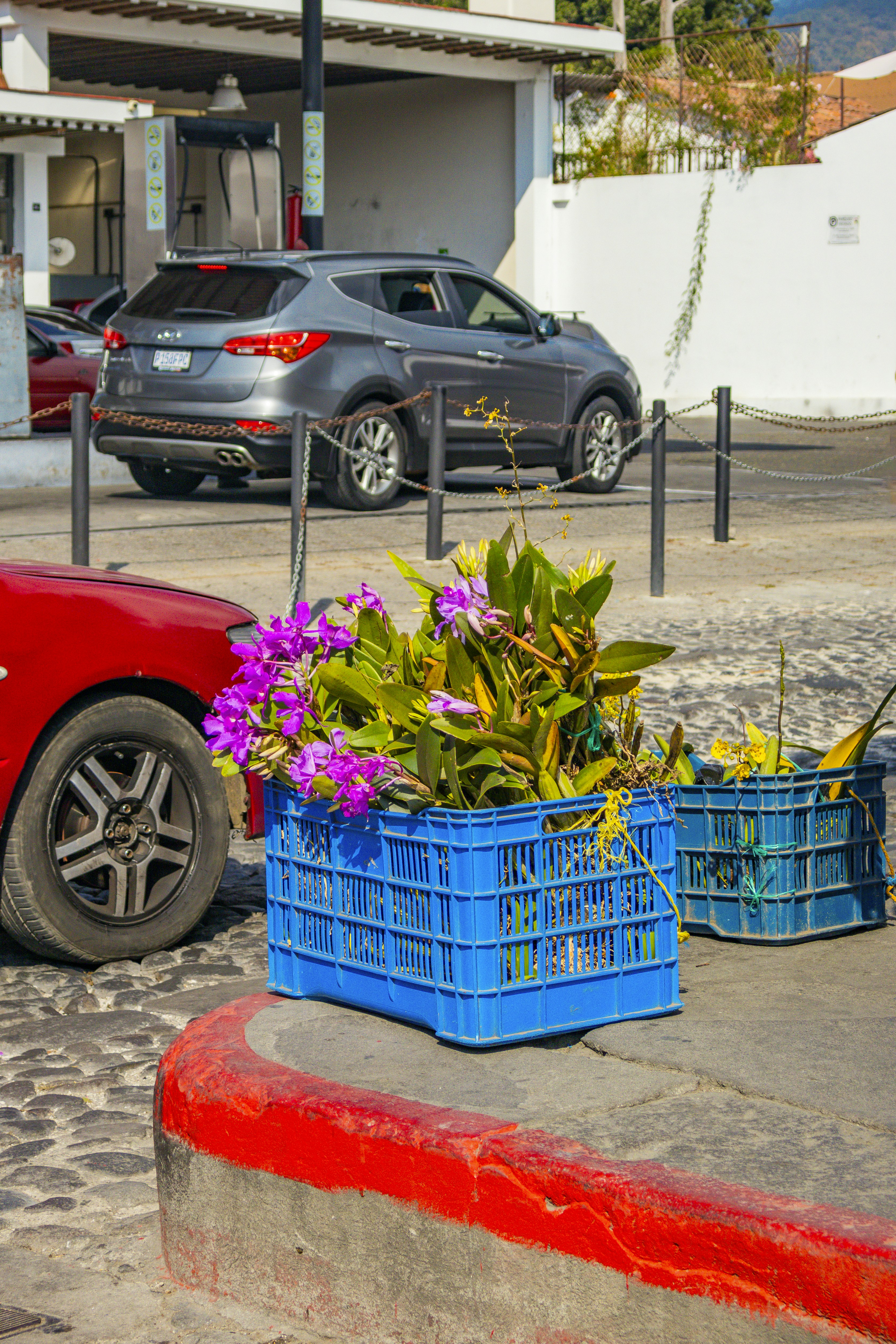 Flowers in blue crates sit on a city street.