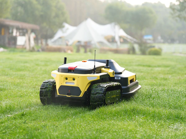 Robot lawn mower cutting grass in a green backyard